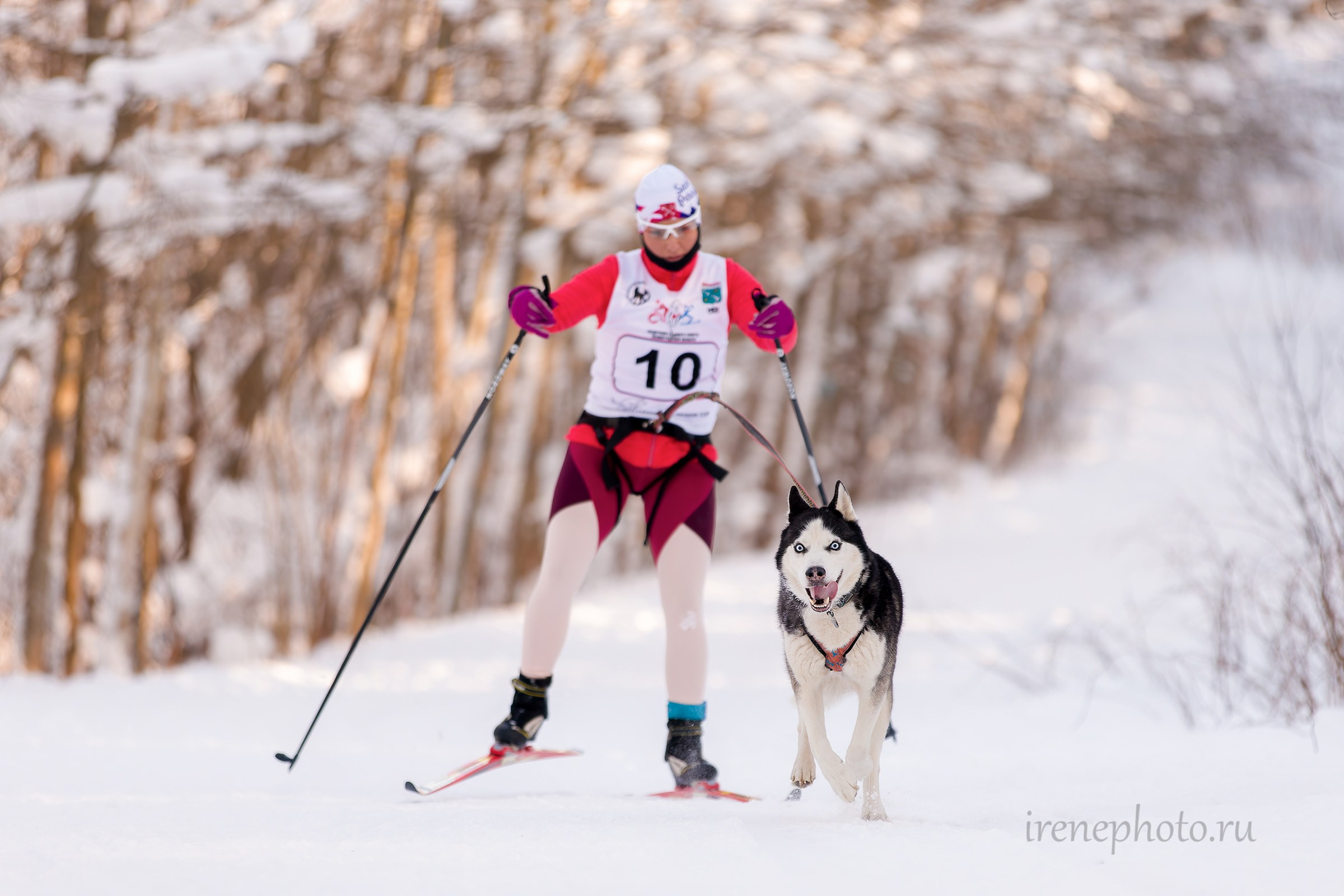 Чемпионат и Первенство Ленобласти — зима 2026. Irenephoto.ru