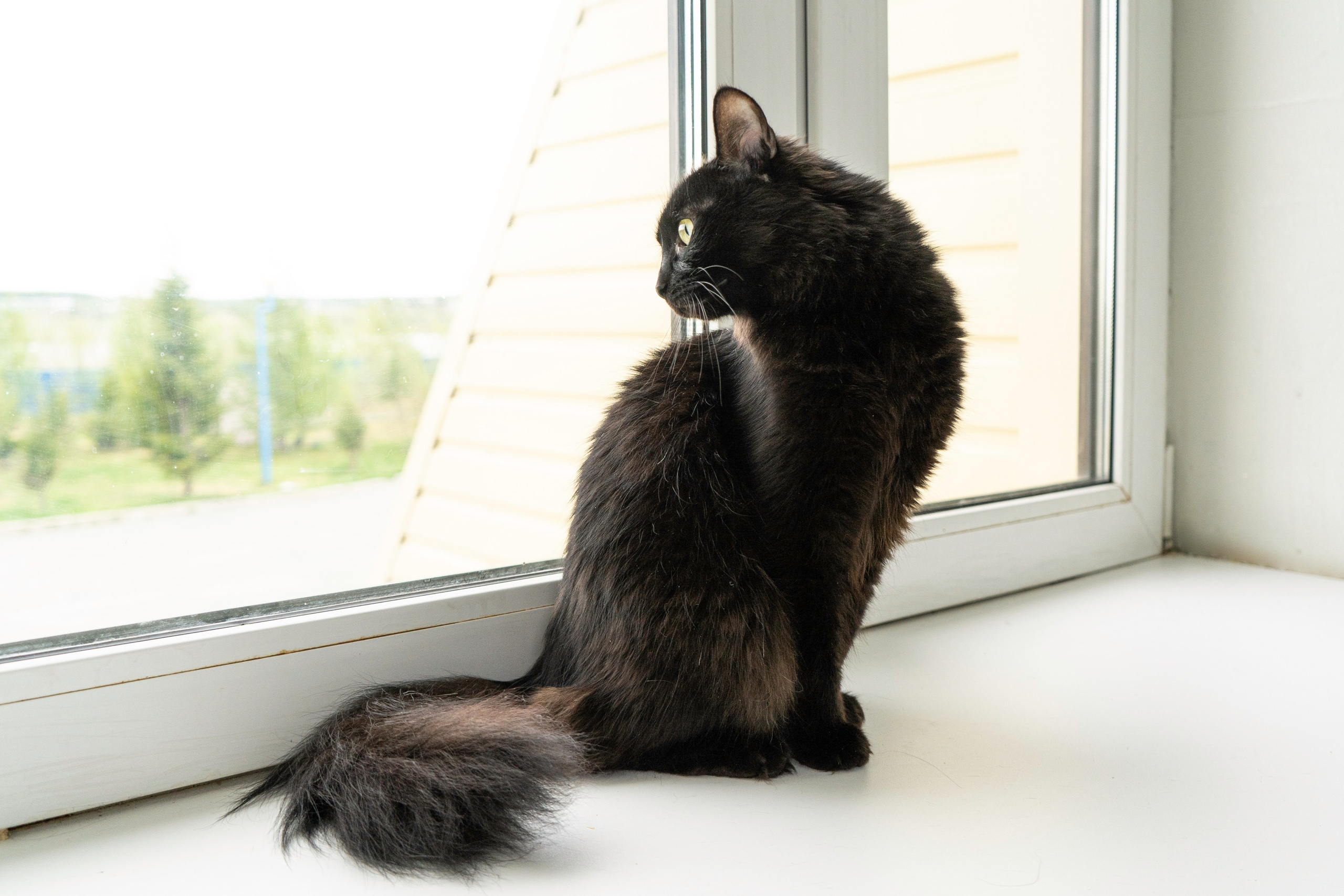 Бездомыши. Фотограф Екатерина Зорина