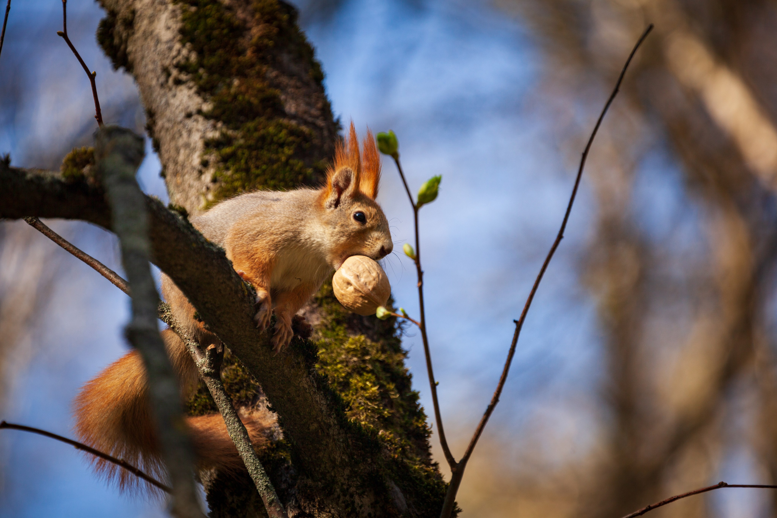 Весеннее настроение. Фотохудожник Артём Парамонов