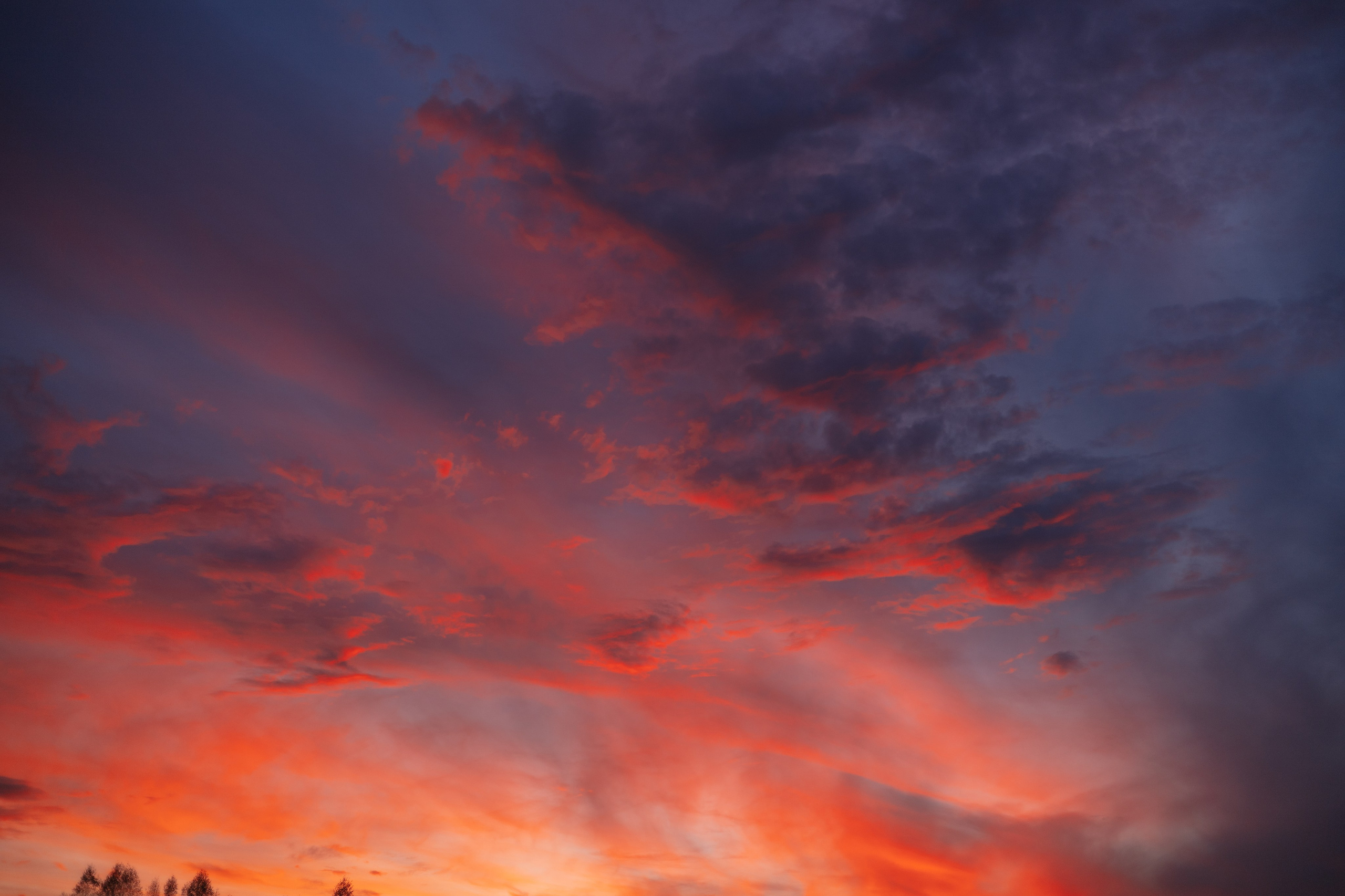 Последний вдох осени. Фотограф в Кемерово Анастасия