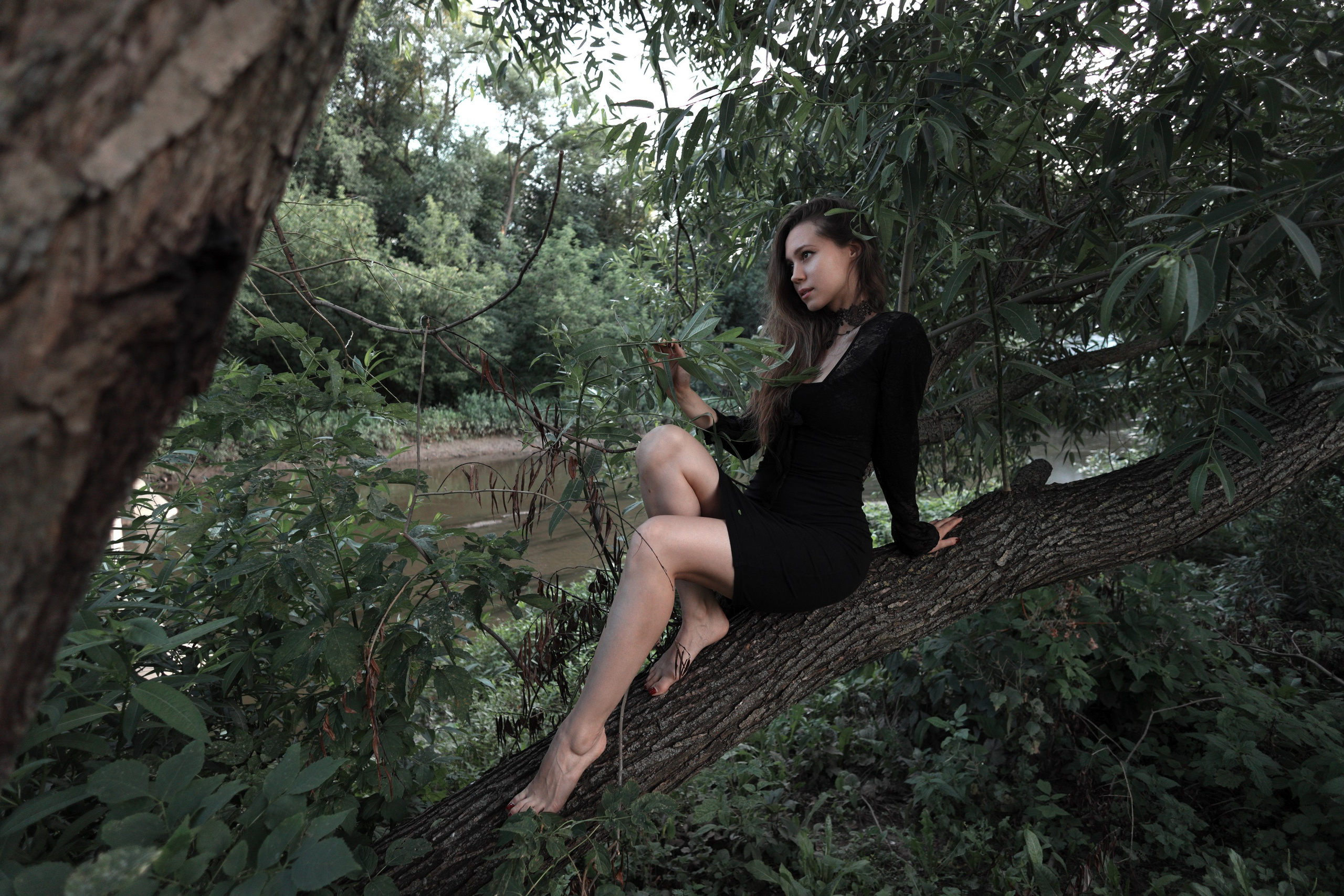 Becareful she has fangs/Aqueduct. Арт-фотограф. Coffelisk