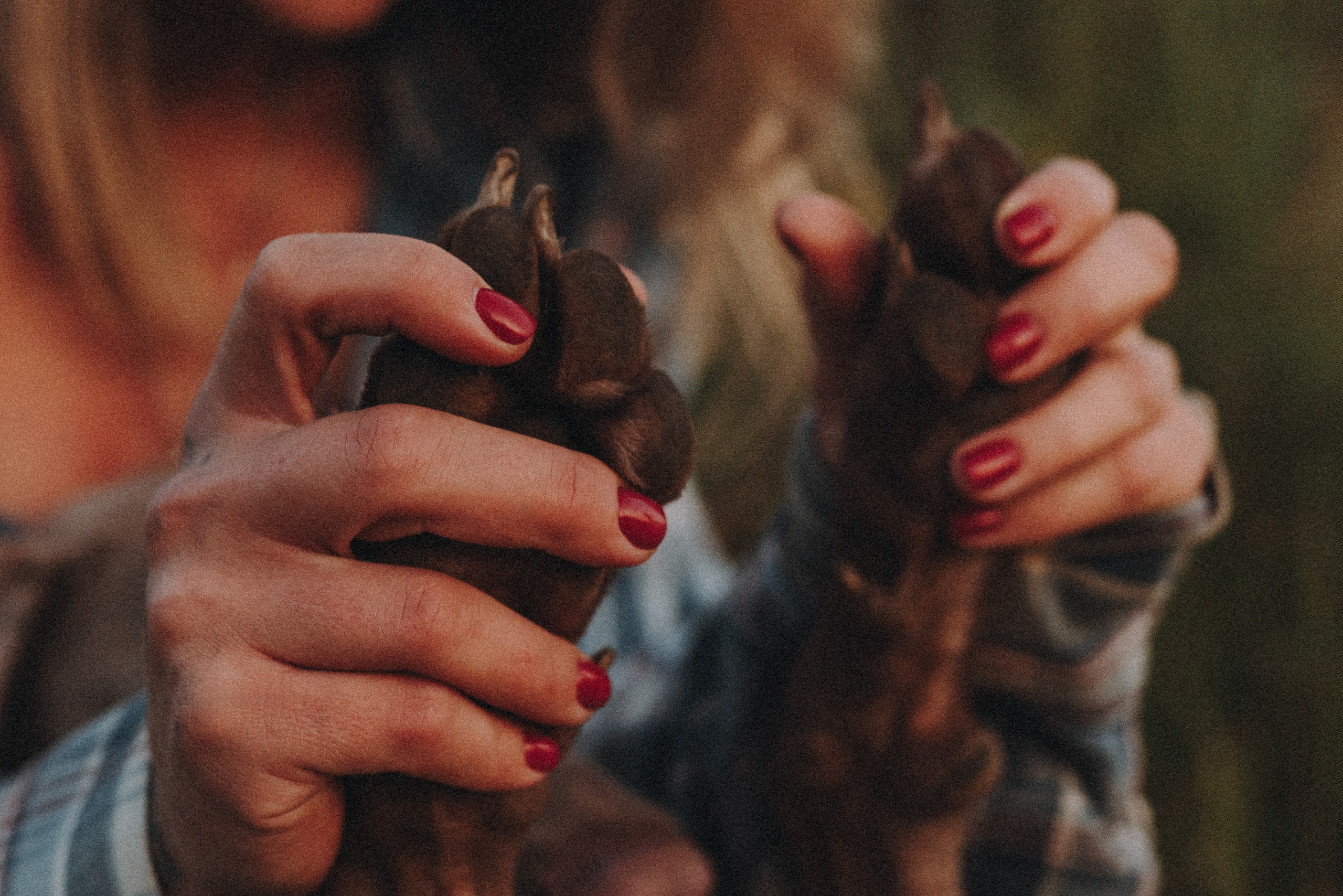 Юля и Эспен. Фотограф анималист Осипчикова Мария