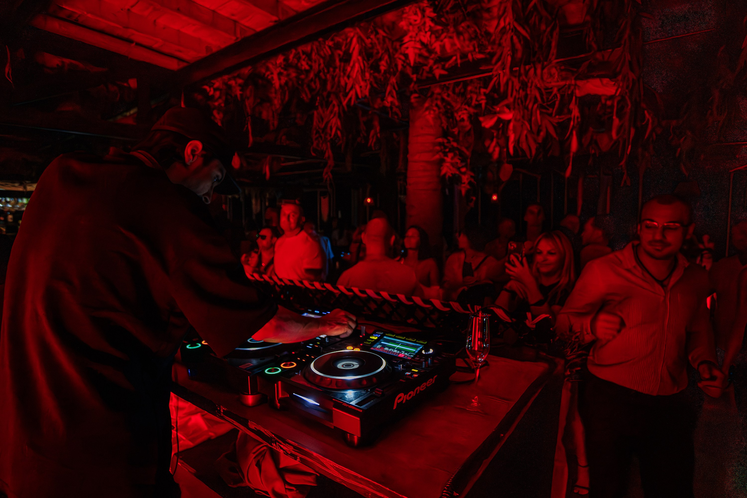 «Митя Фомин"_Чайка на пляже_Ялта_28.06.2025 г. Аминов Руслан | Фотограф