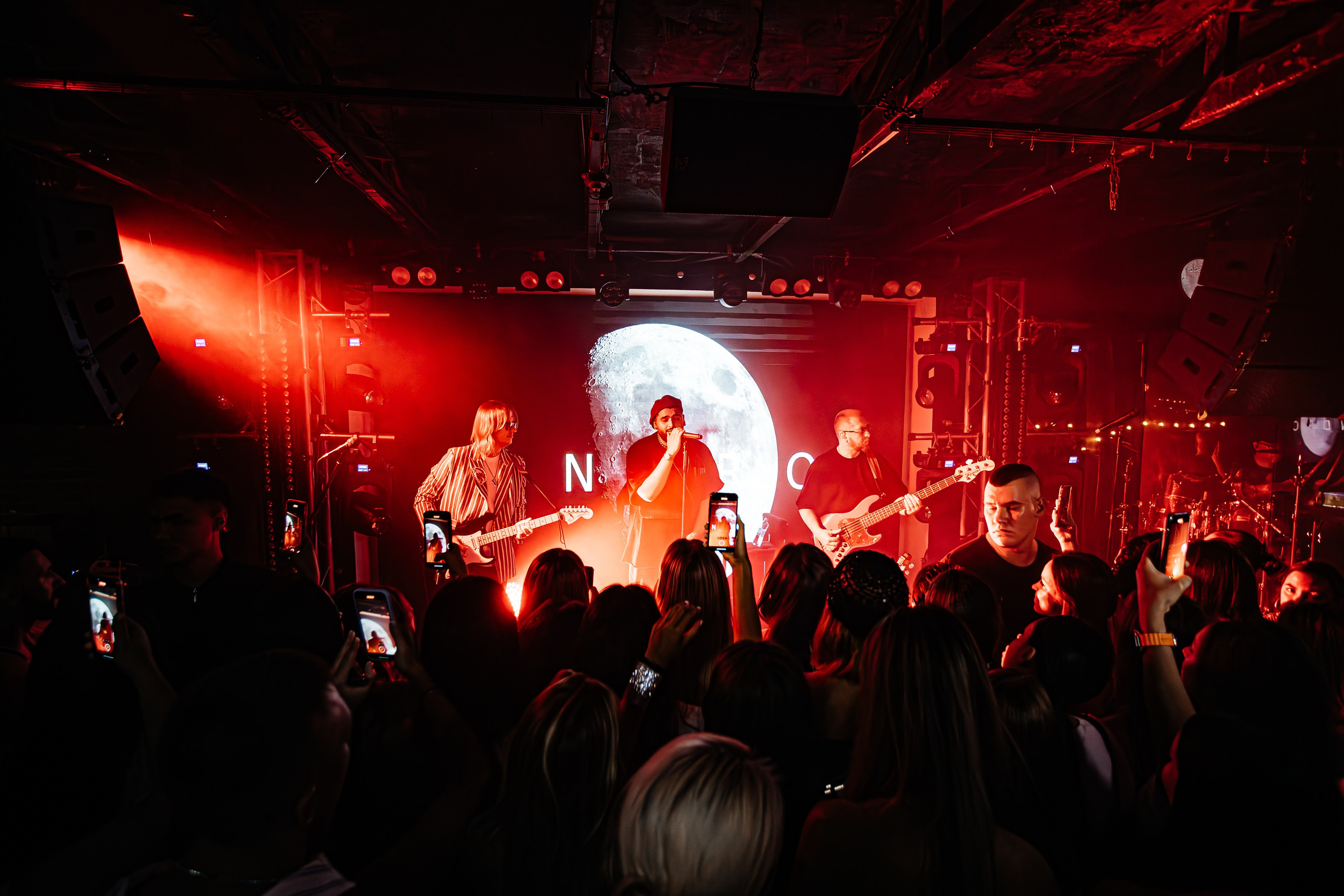 Чайка_на_пляже_Андро_Ялта_24.08.2024. Аминов Руслан | Фотограф