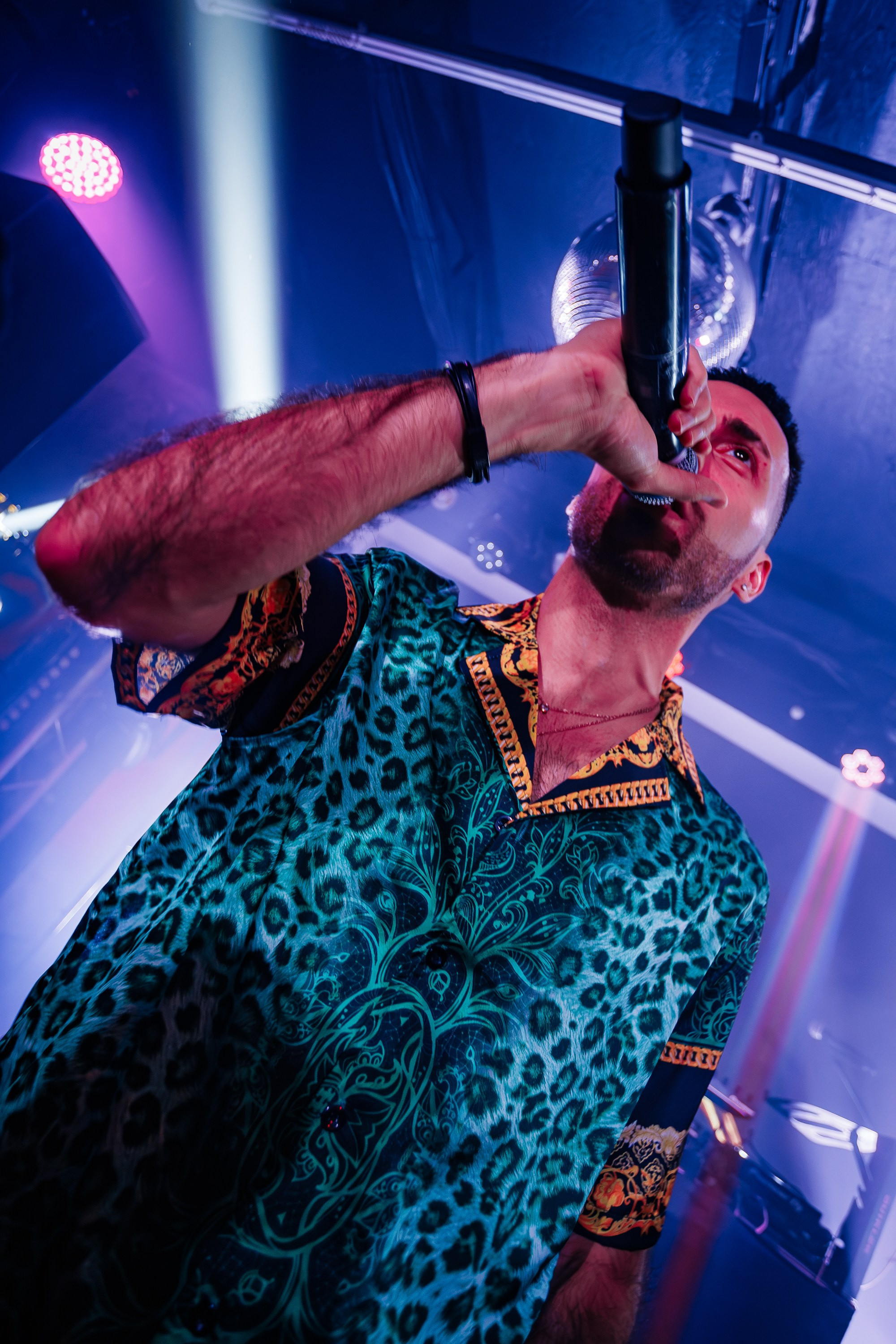 «Джиган"_Чайка на пляже_Ялта_12.07.2025 г. Аминов Руслан | Фотограф