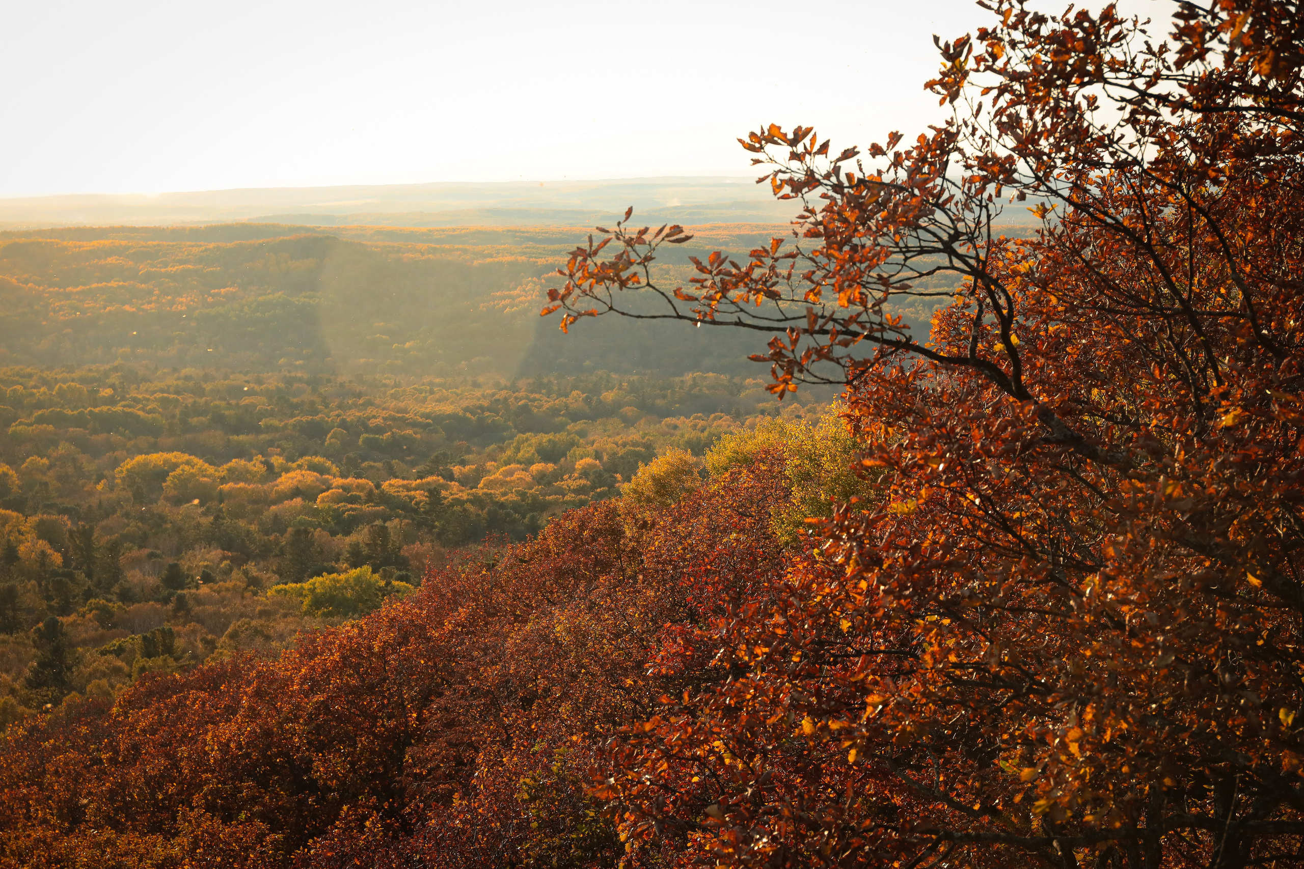 На Змеиной горе. Фотограф г. Хабаровск. Семейные и индивидуальные съёмки