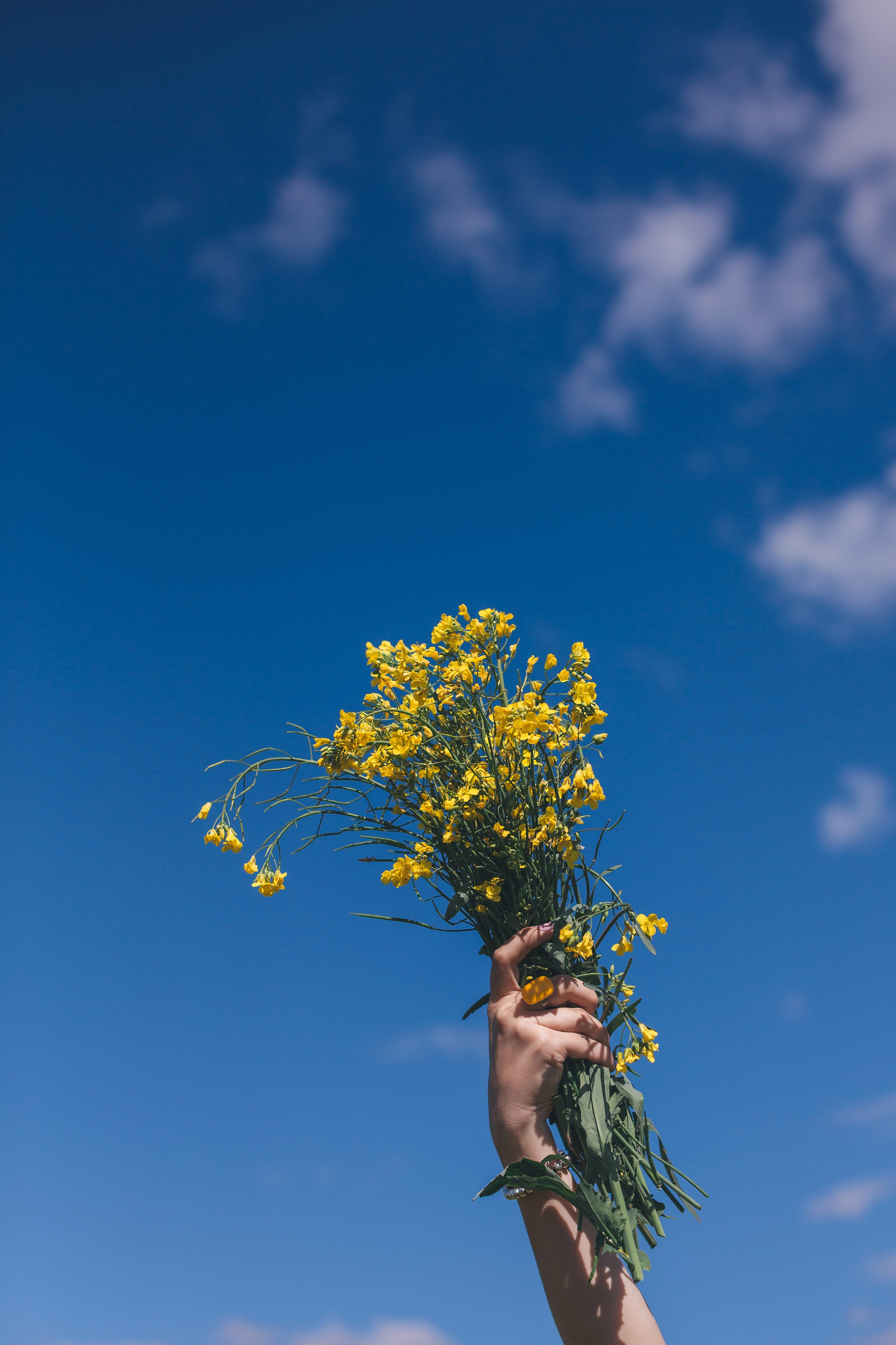Рапсовое поле. Семейный и художественный фотограф в Тюмени Юлия Логинова