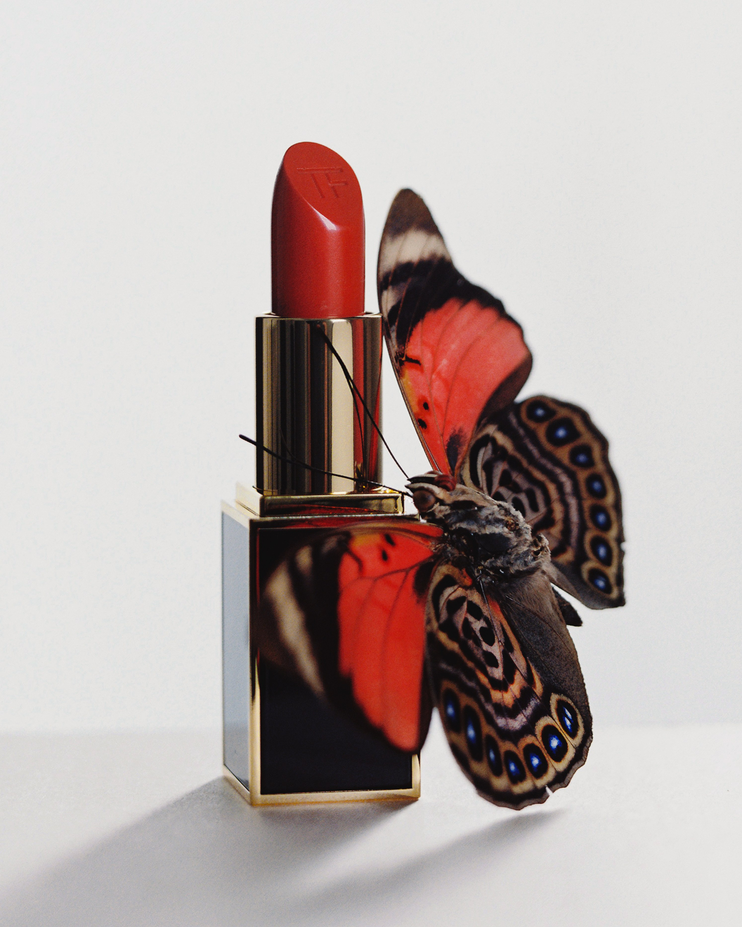 Campaign GOLDEN APPLE. Nadezhda Diskant is a Moscow and Saint Petersburg based photographer