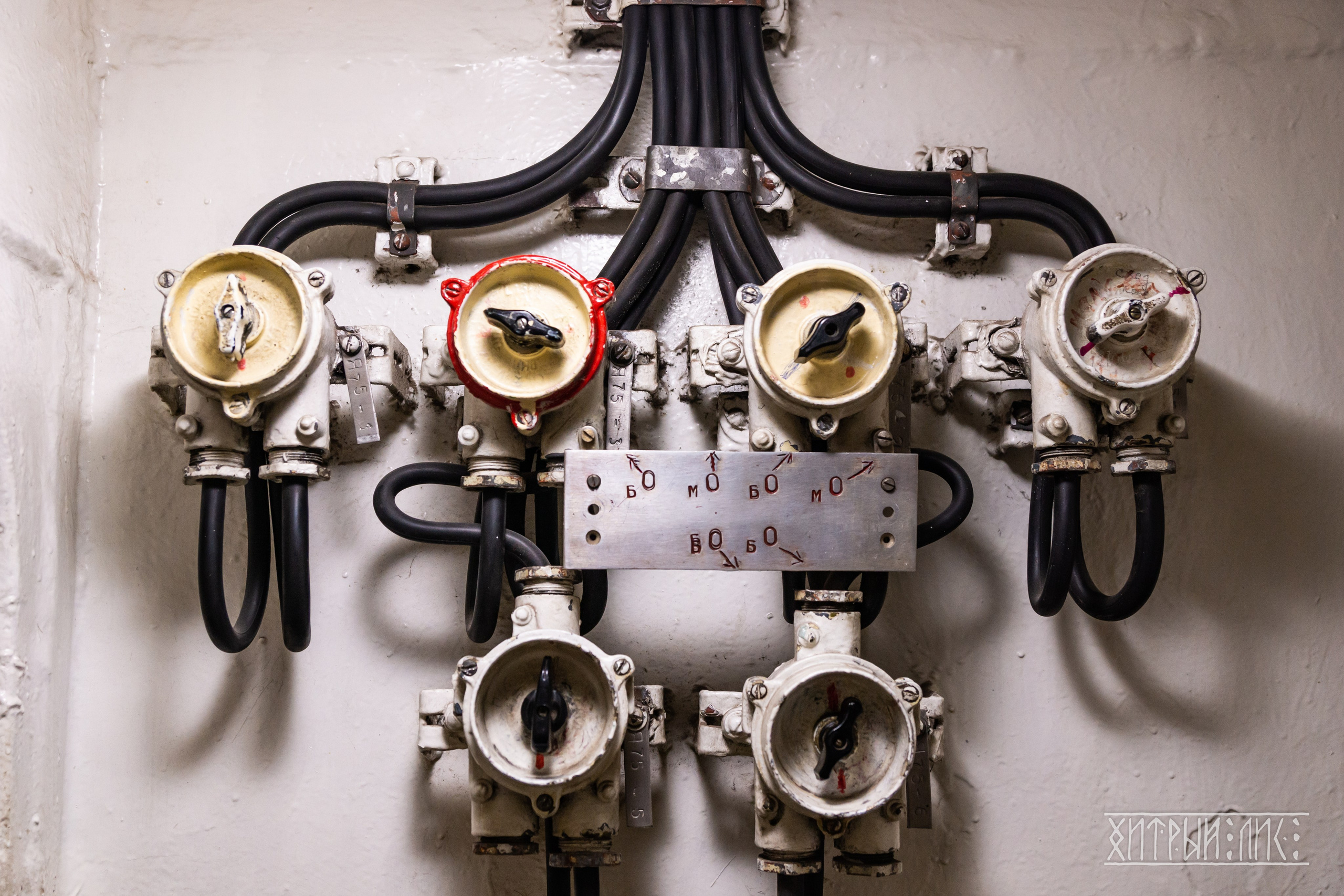 Мурманская обл. Фотограф-путешественник Самойлов Максим «Sly Fox»