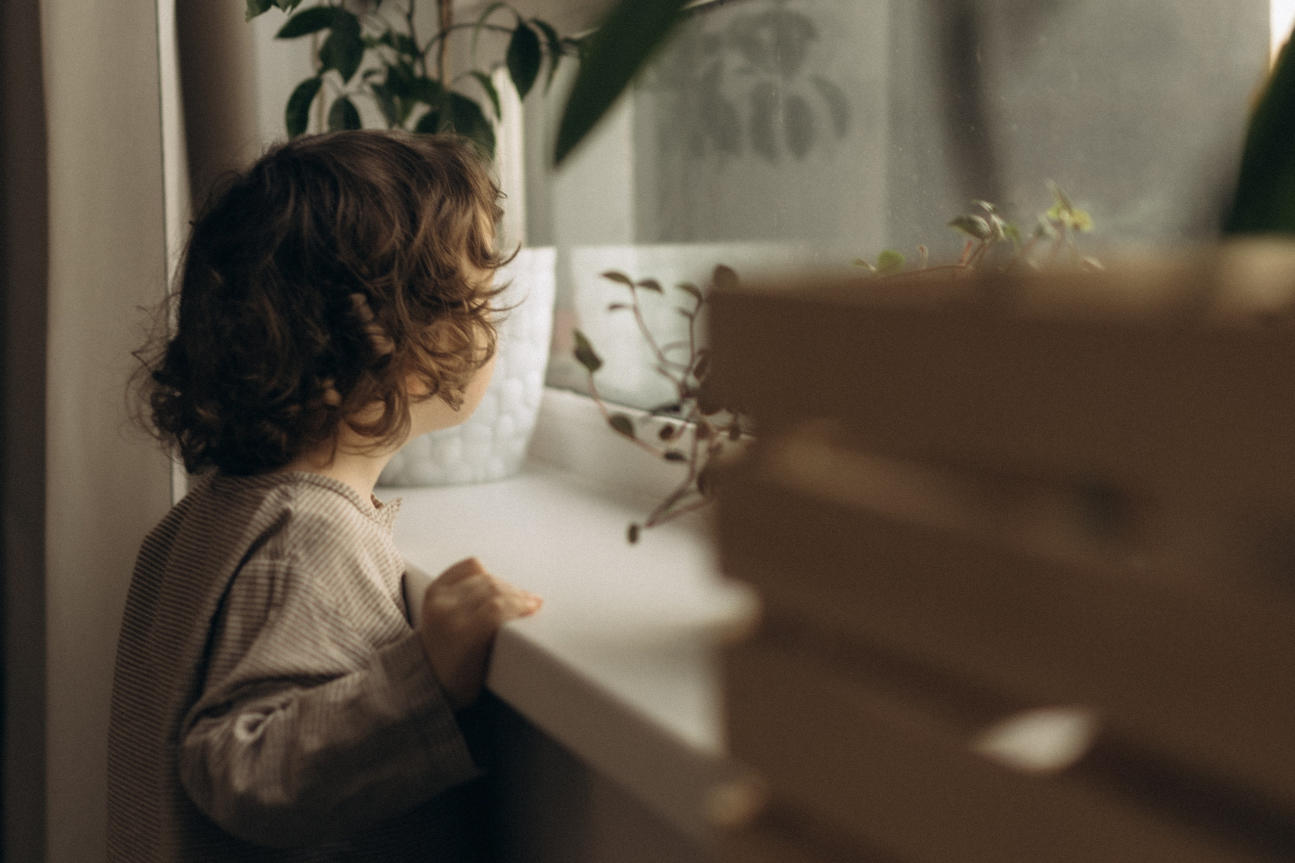 Новогоднее чудо ✧₊⁺. Семейный фотограф в Челябинске