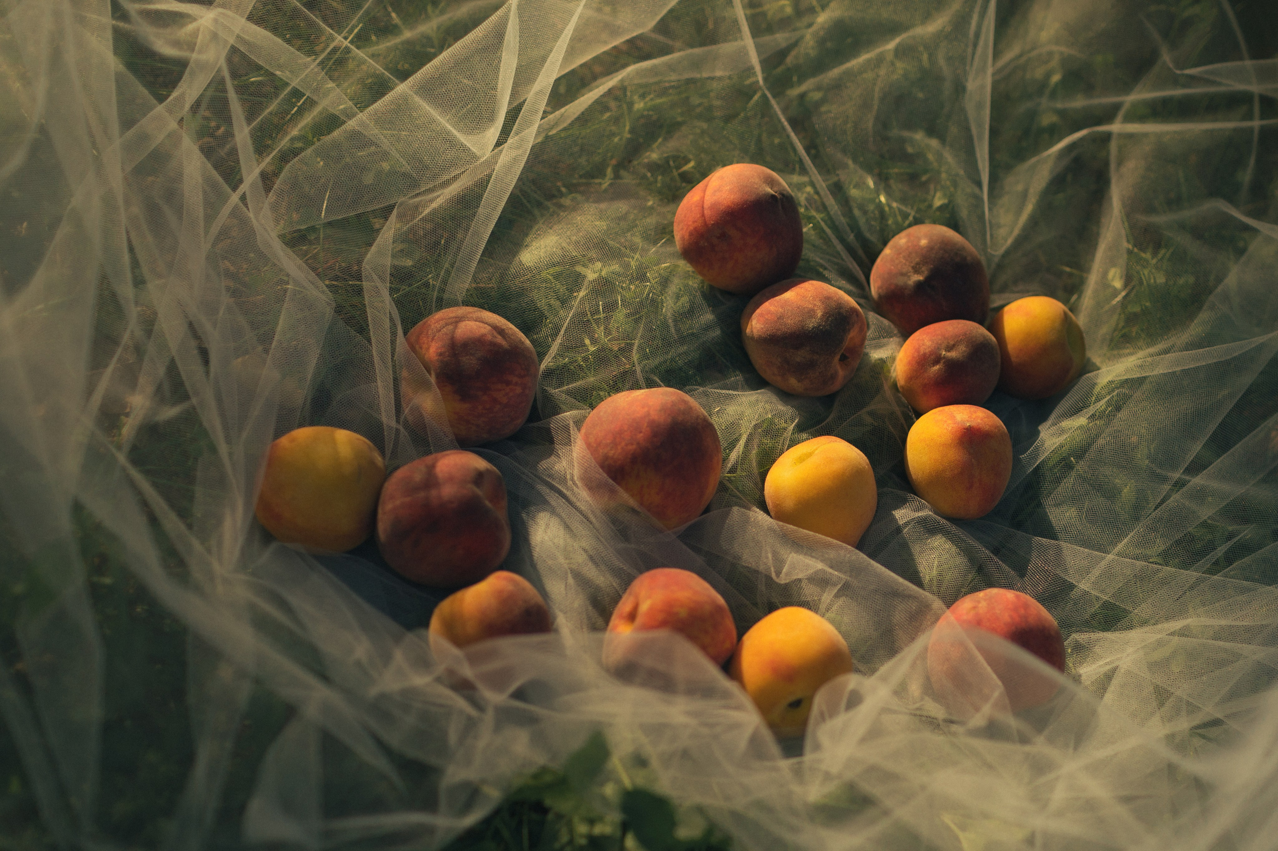 Анастасия. «Лесная нимфа». Семейный фотограф в Москве Валерия Карпова