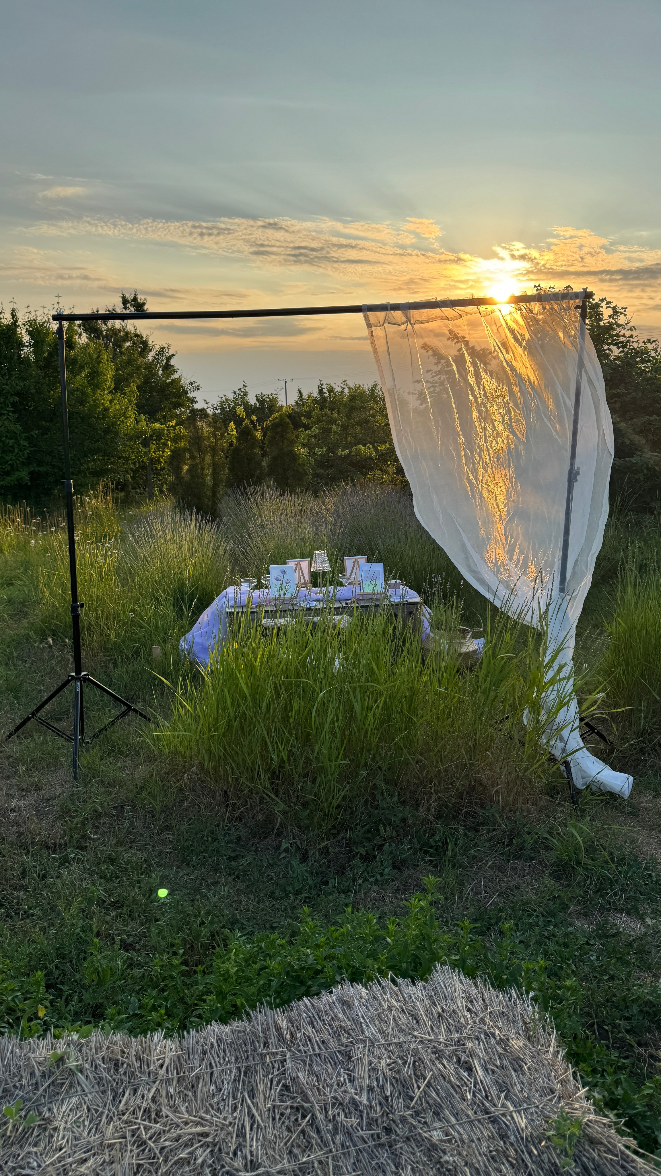 Лаванда. Фотостудия Натальи Забродской