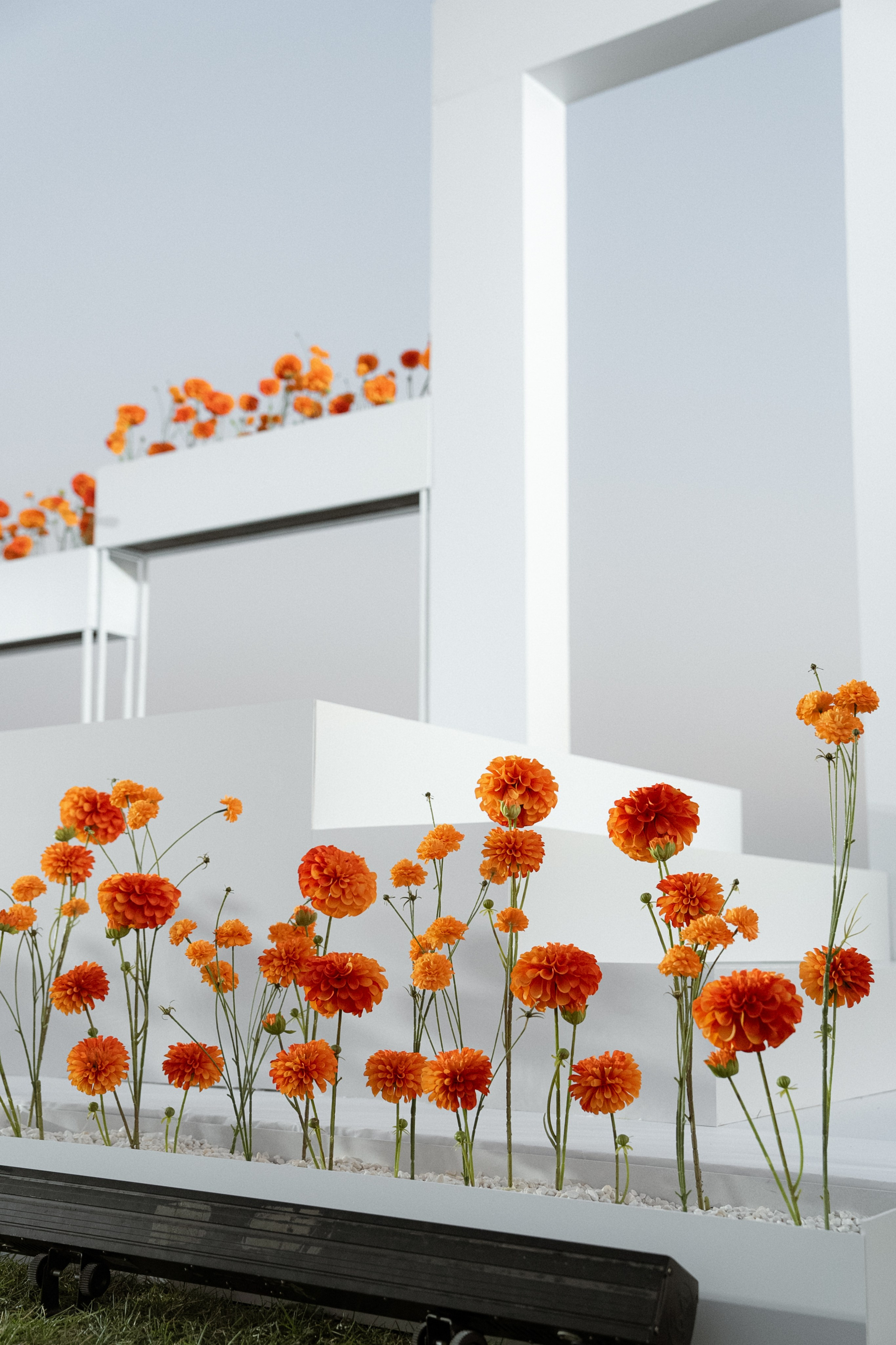 Гермес. Orange. Семейный и портретный фотограф в Саратове Сахарова Маша