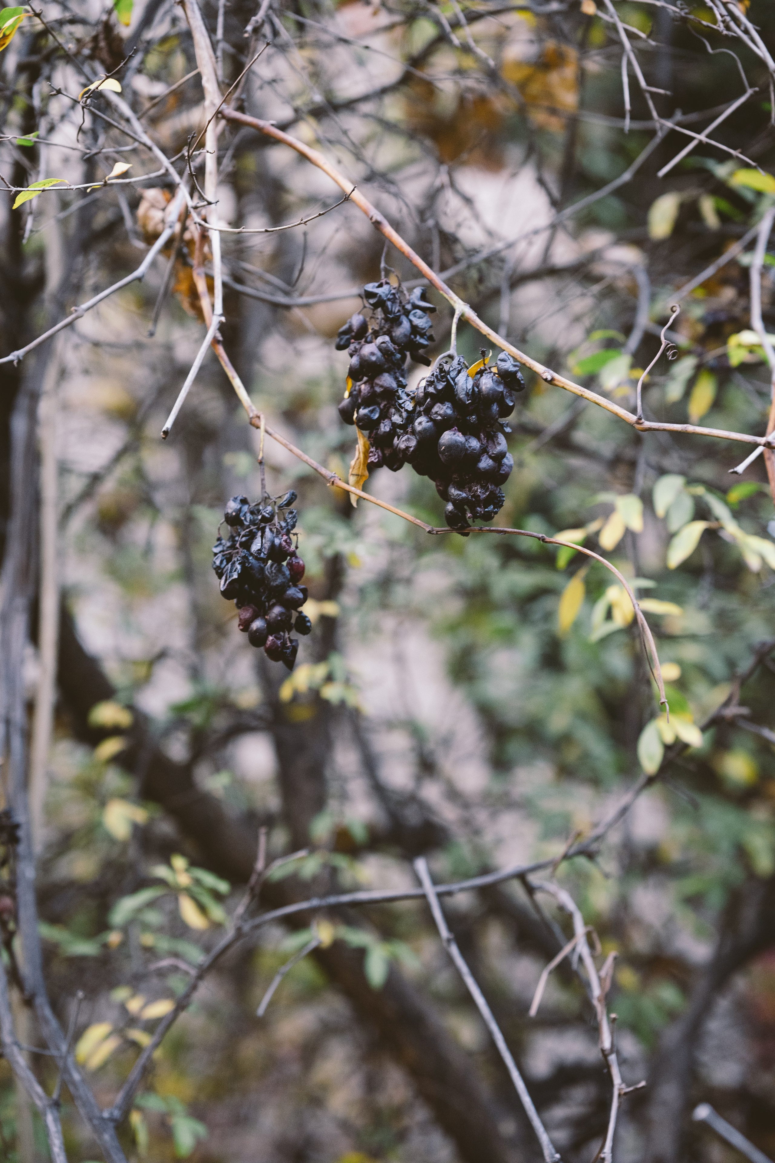 …история о прогулке в старом городе и семье. Марковы: фото, видео, кино и книги