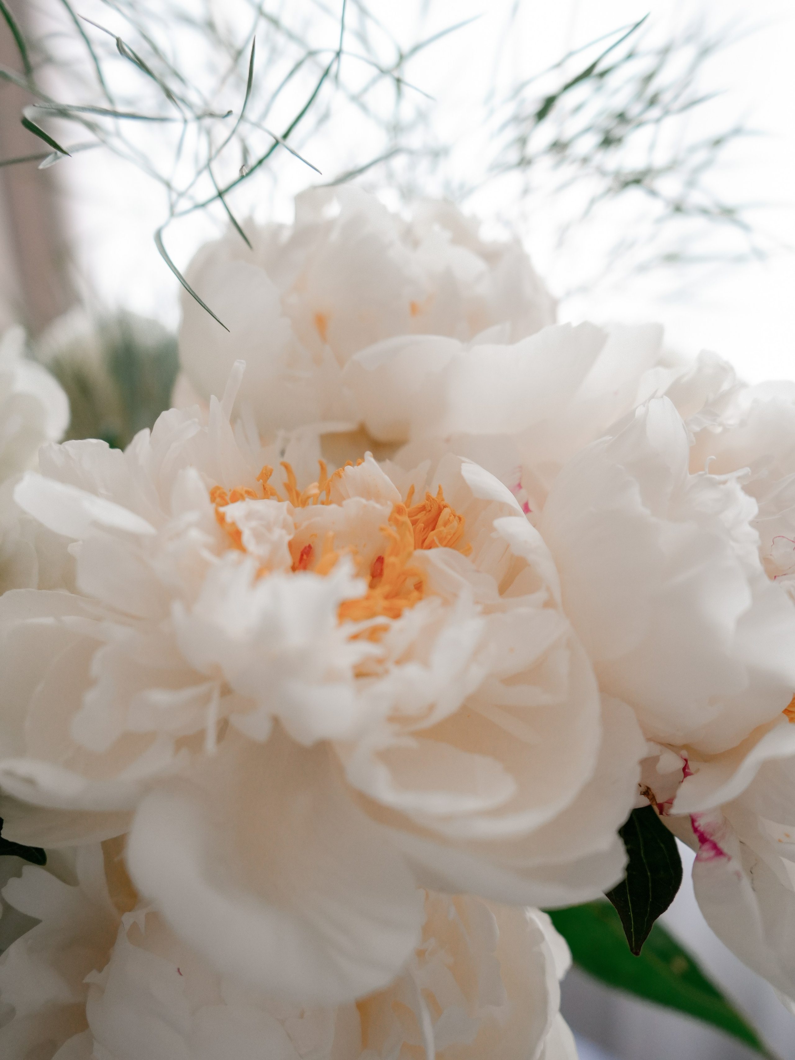 Светлана. Дизайн интерьера. Norikyan Diana