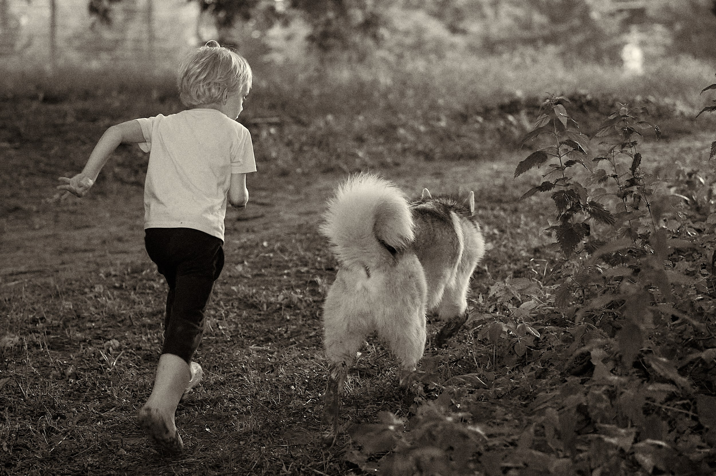 Уличный фотограф в Москве