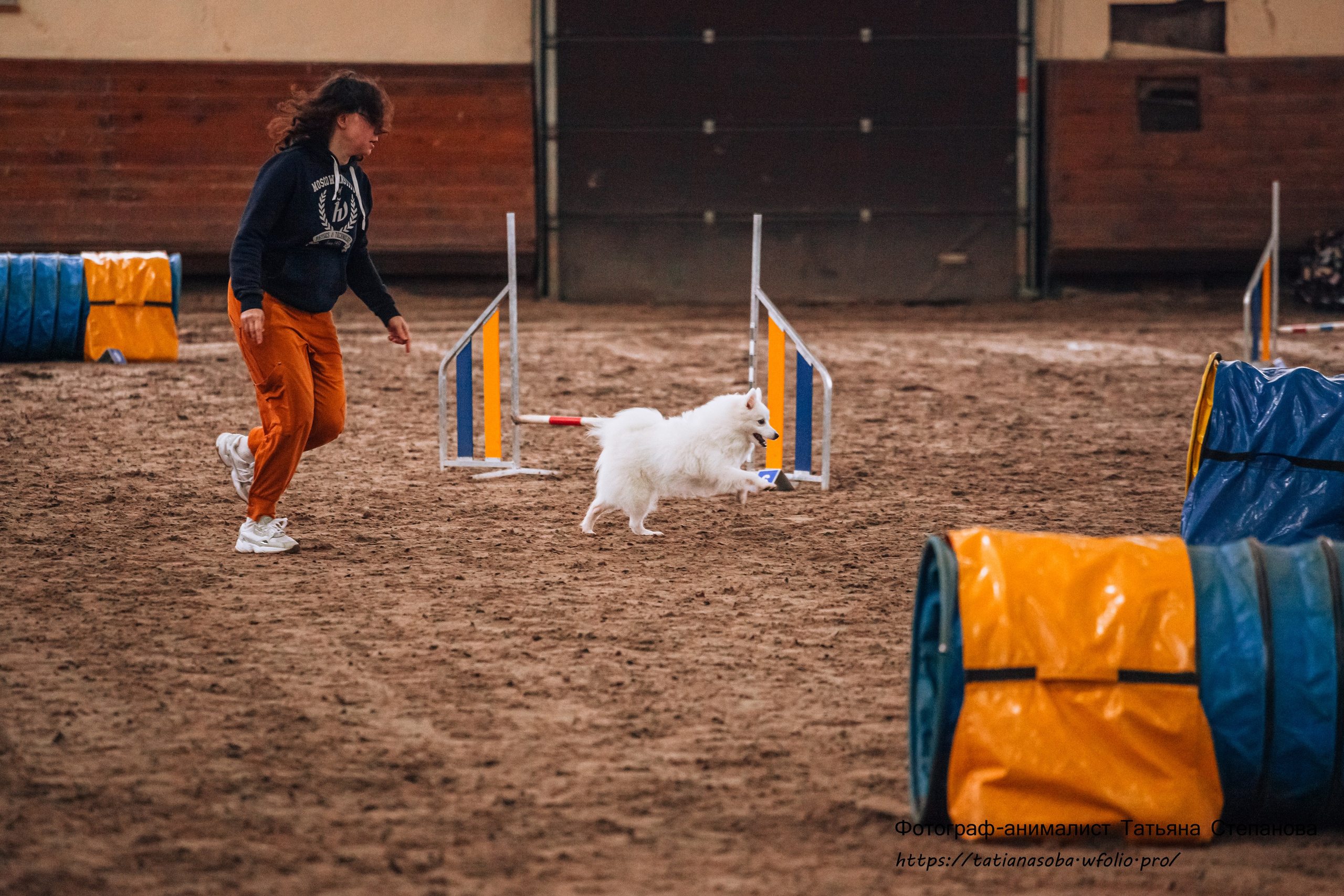 Соревнования по Аджилити 25.02.2024. Фотограф-анималист Татьяна Степанова