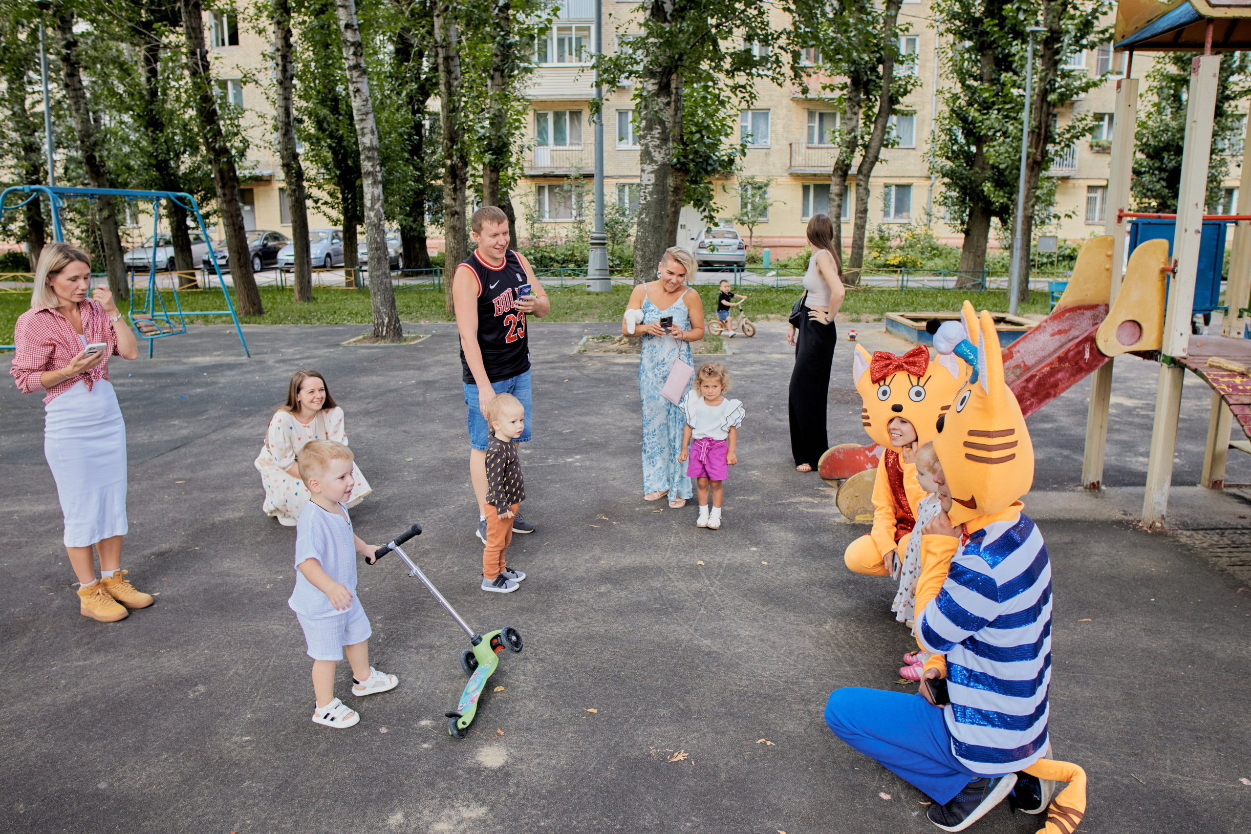 Три кота. Фотограф Москва