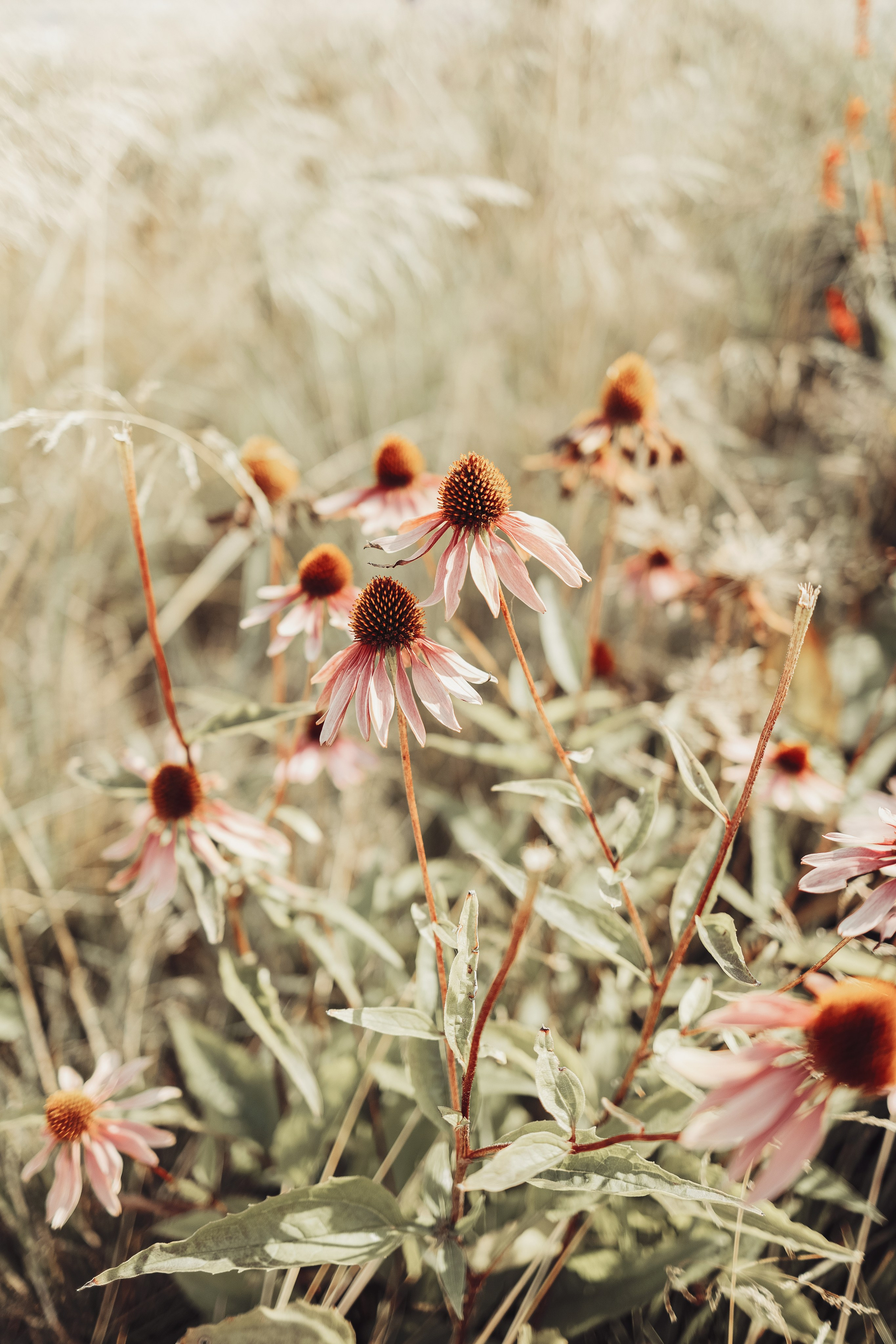 Street photo. Photographer in Turkey — Dari N