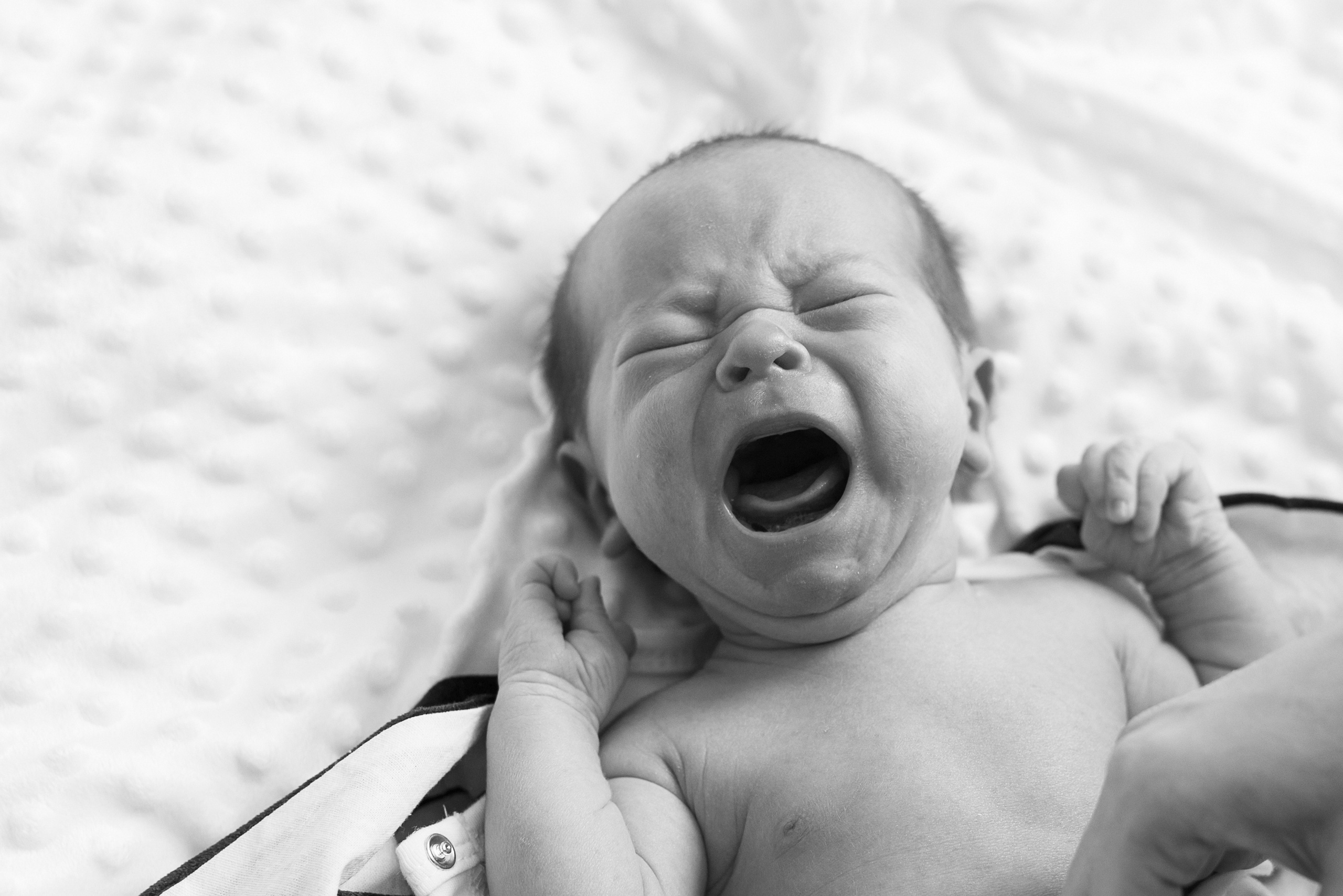 Неделя в этом мире. Семейный фотограф в Новосибирске Инна Кузнецова