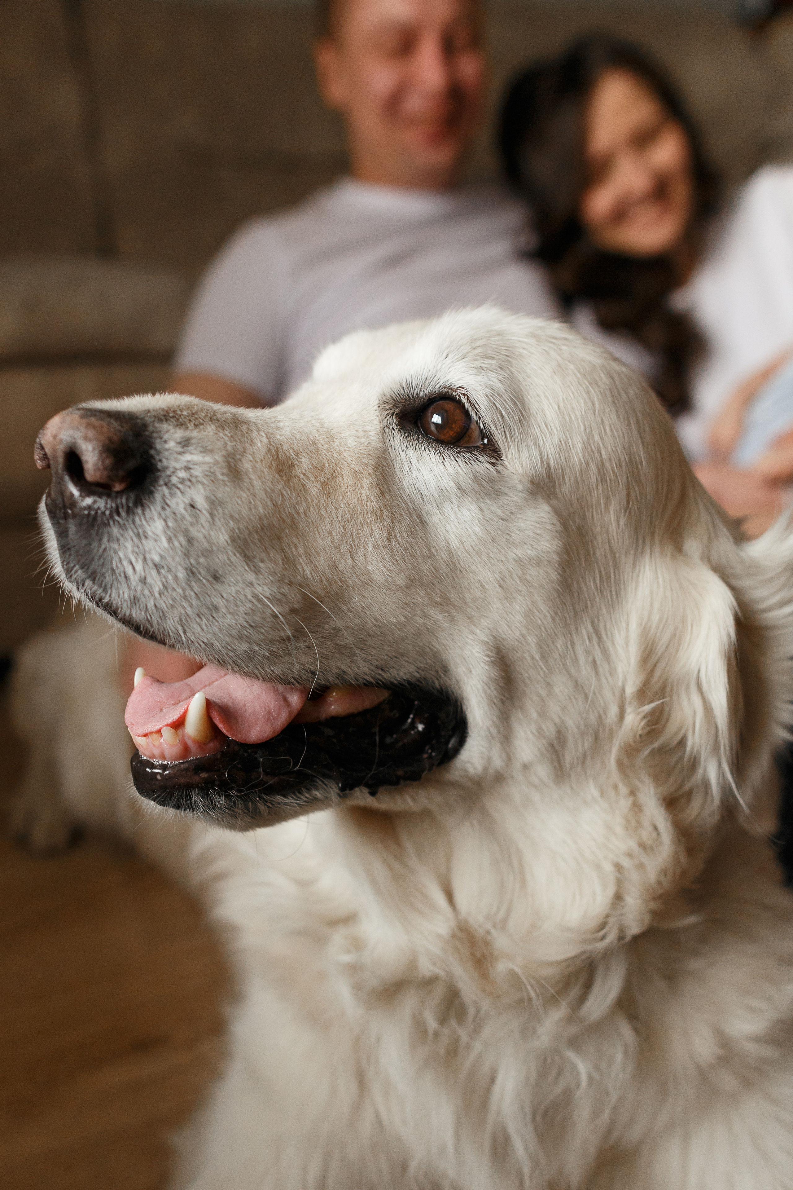 2 сладких месяца. Семейный фотограф в Новосибирске Инна Кузнецова
