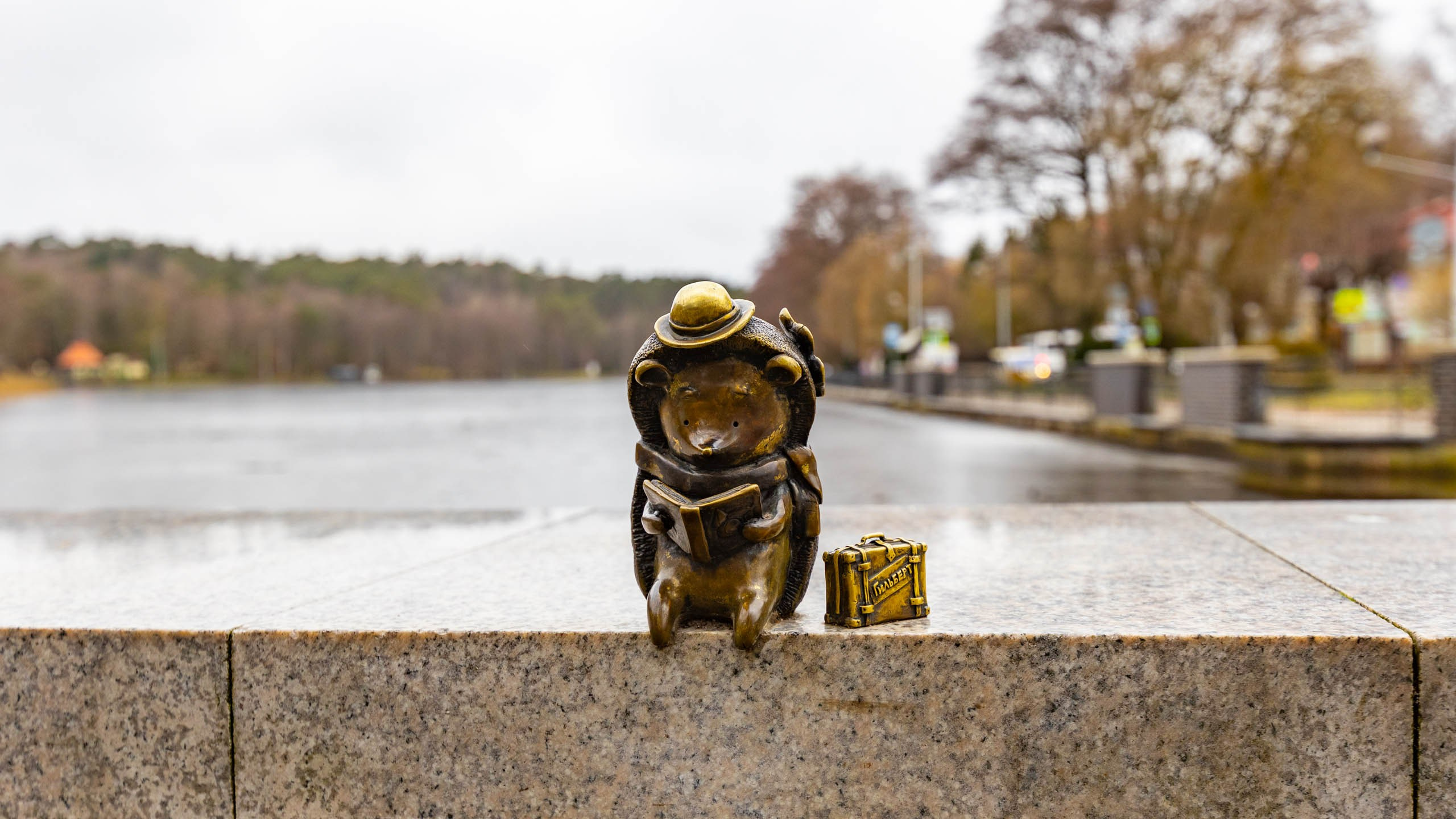 2024 01 Калининград (Светлогорск, Зеленоградск). Фотографии