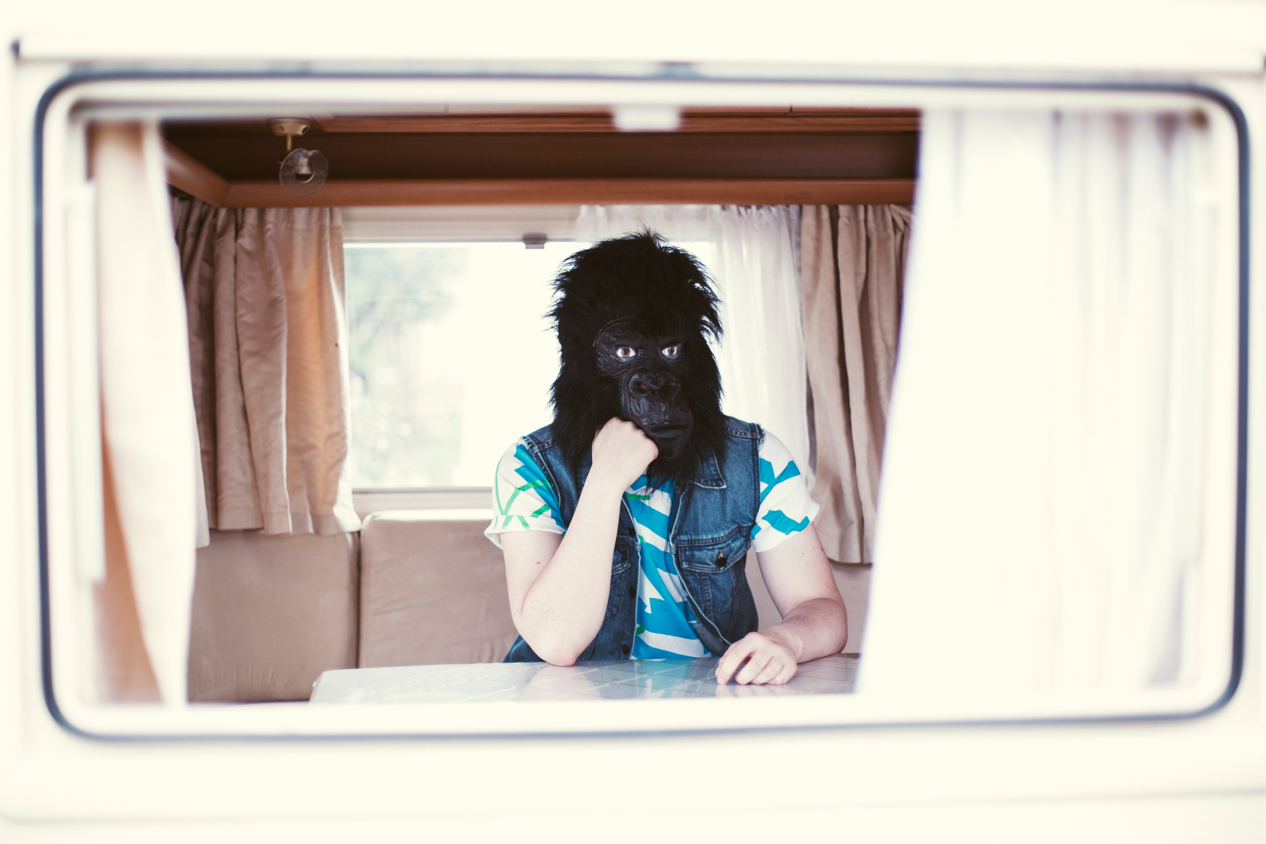 T S V E T N O Y. H O M E