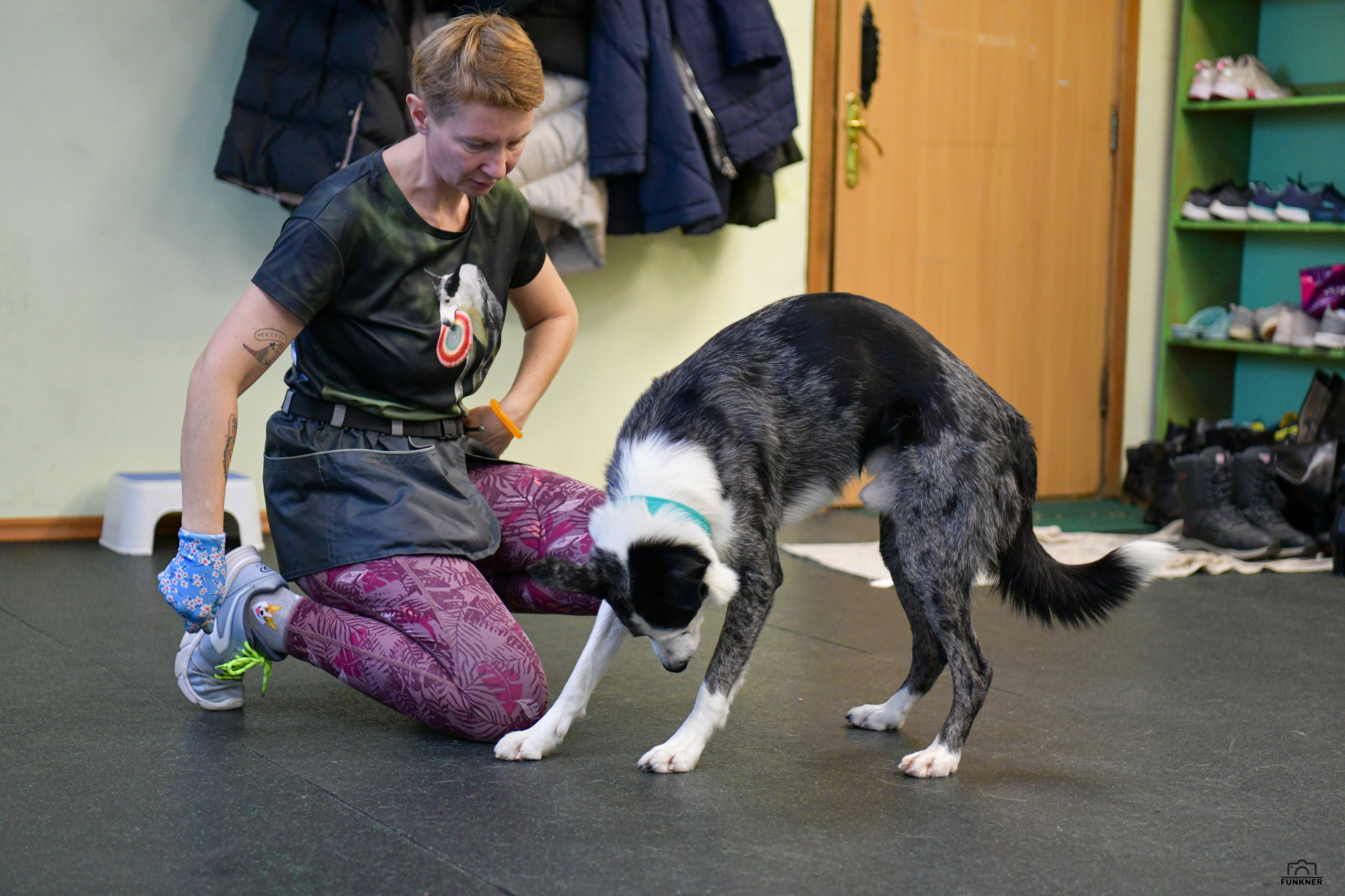 Кинологический клуб «Бодрый хвост». Свой взгляд через объектив