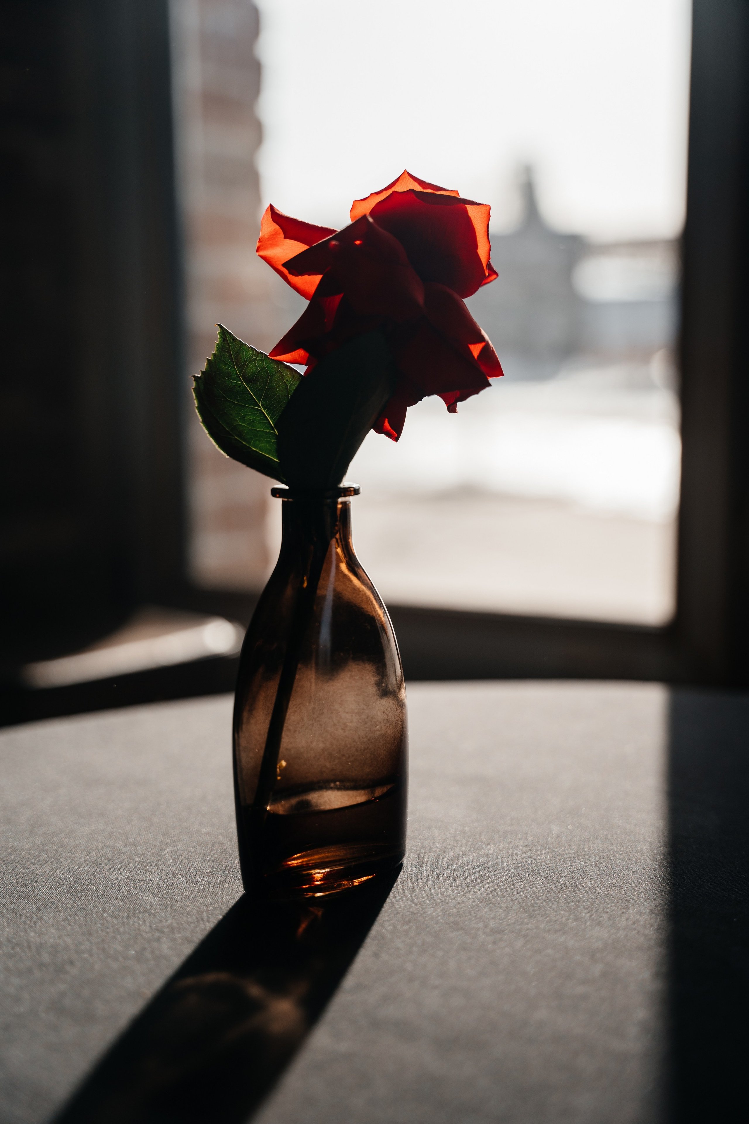 ПРОЕКТ ТЕОРИЯ. Свадебный фотограф Барнаул Алексей Павлов