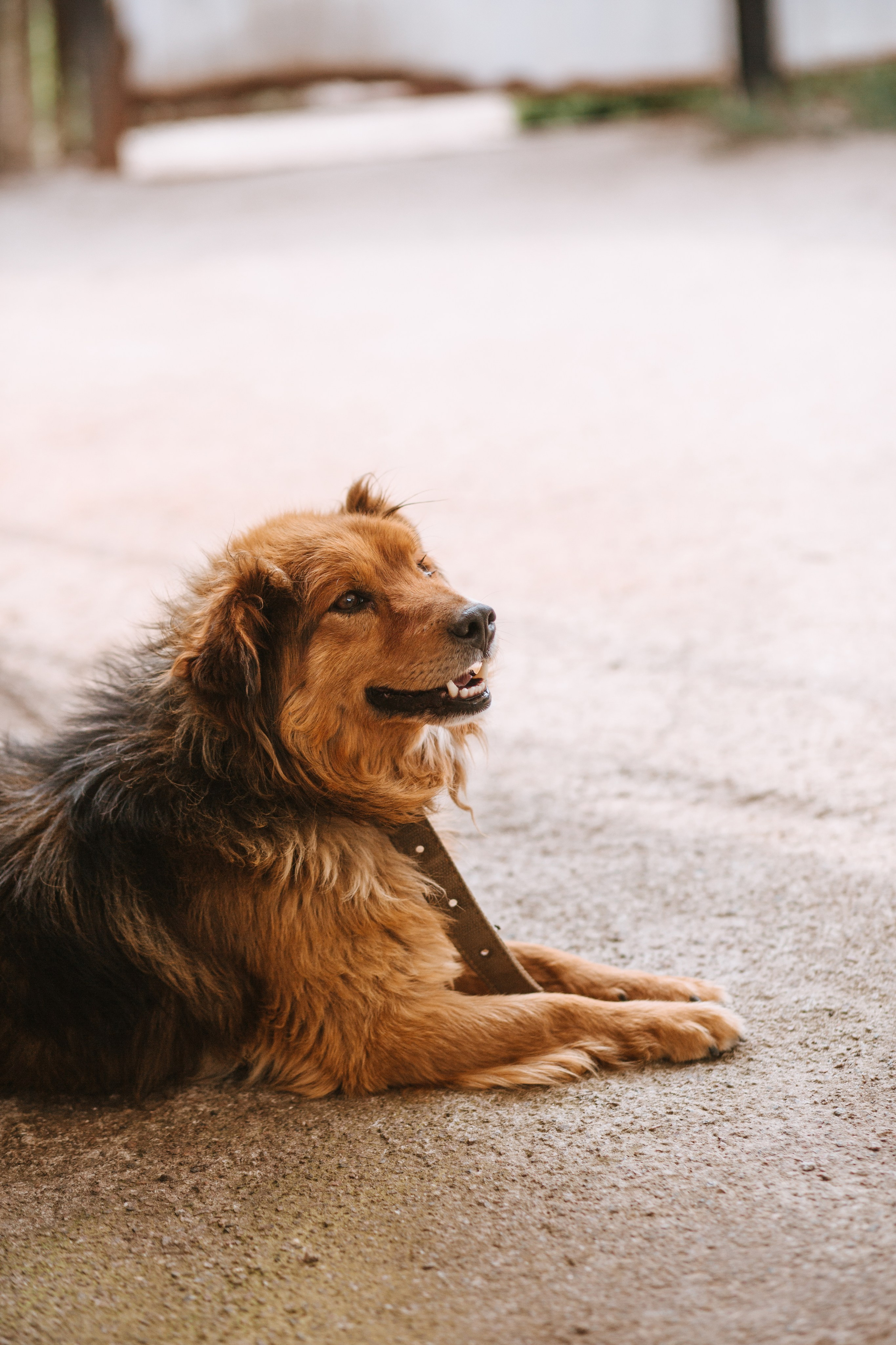 Алексей и Вероника. Фотограф в Волгограде и Москве | Анастасия Лаврова