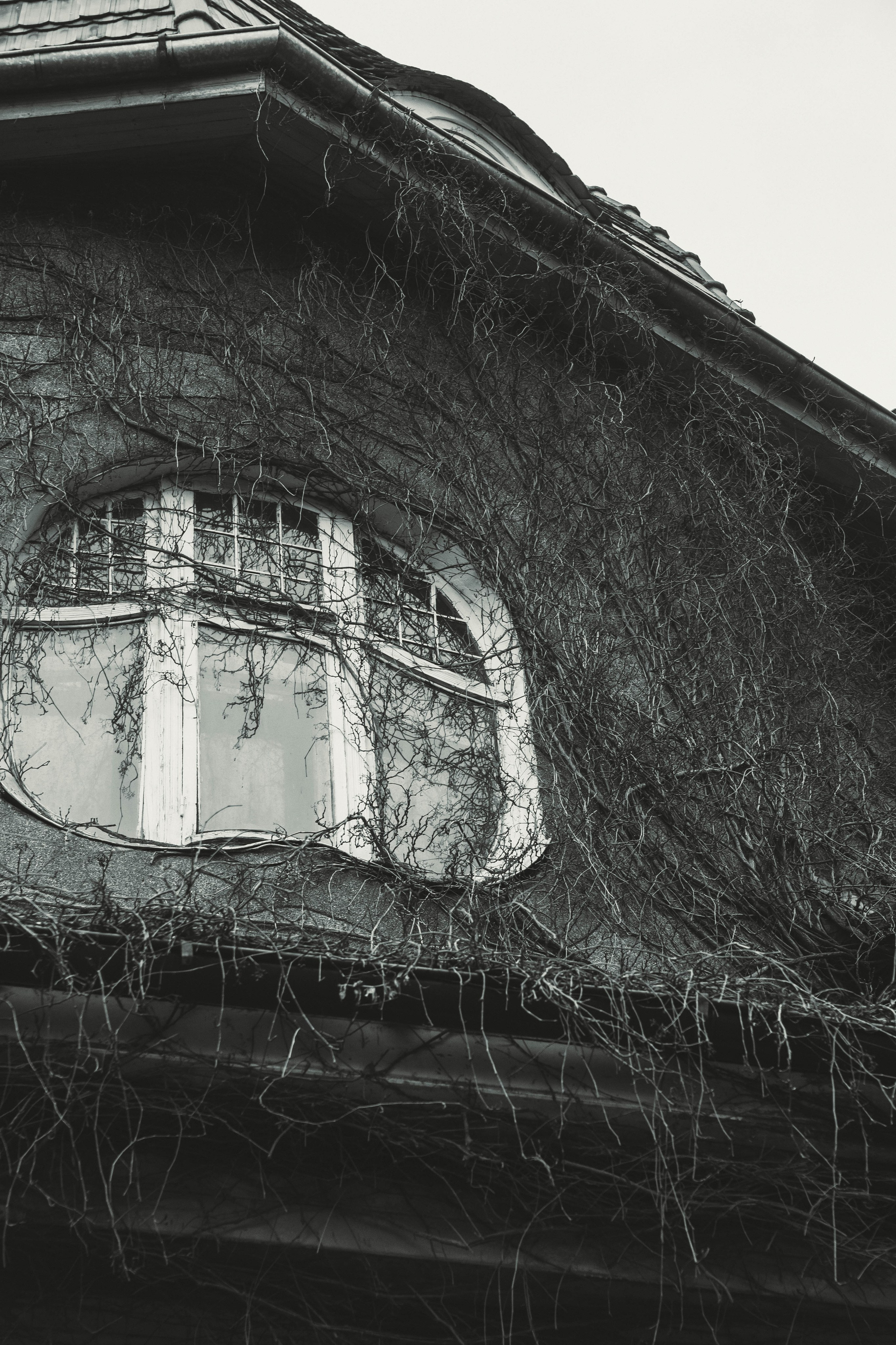 Калининград, декабрь 2025. Фотограф в Ярославле Ольга Пыненкова