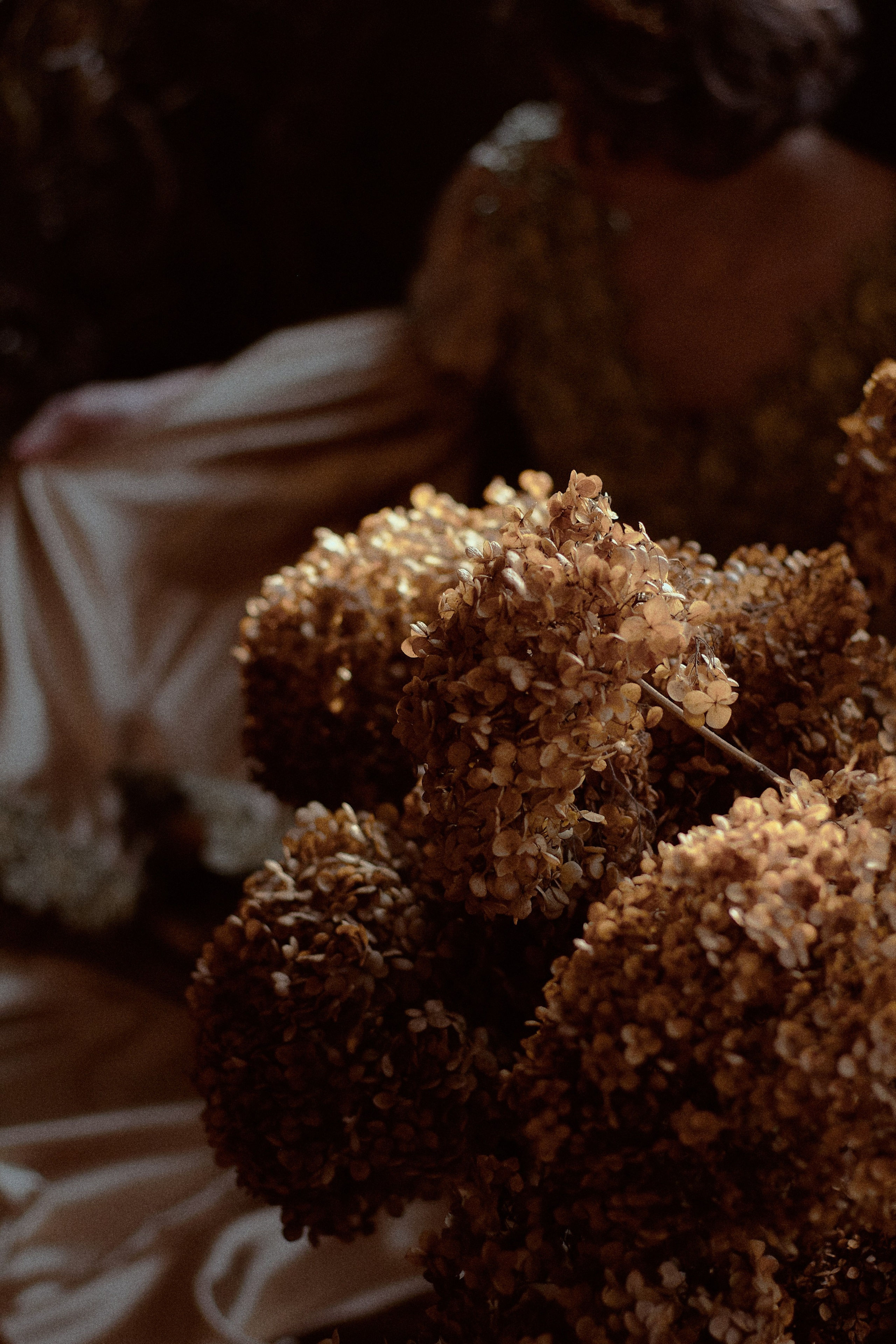 Сила. Фотограф лавстори Москва/МО Приятелева Ангелина