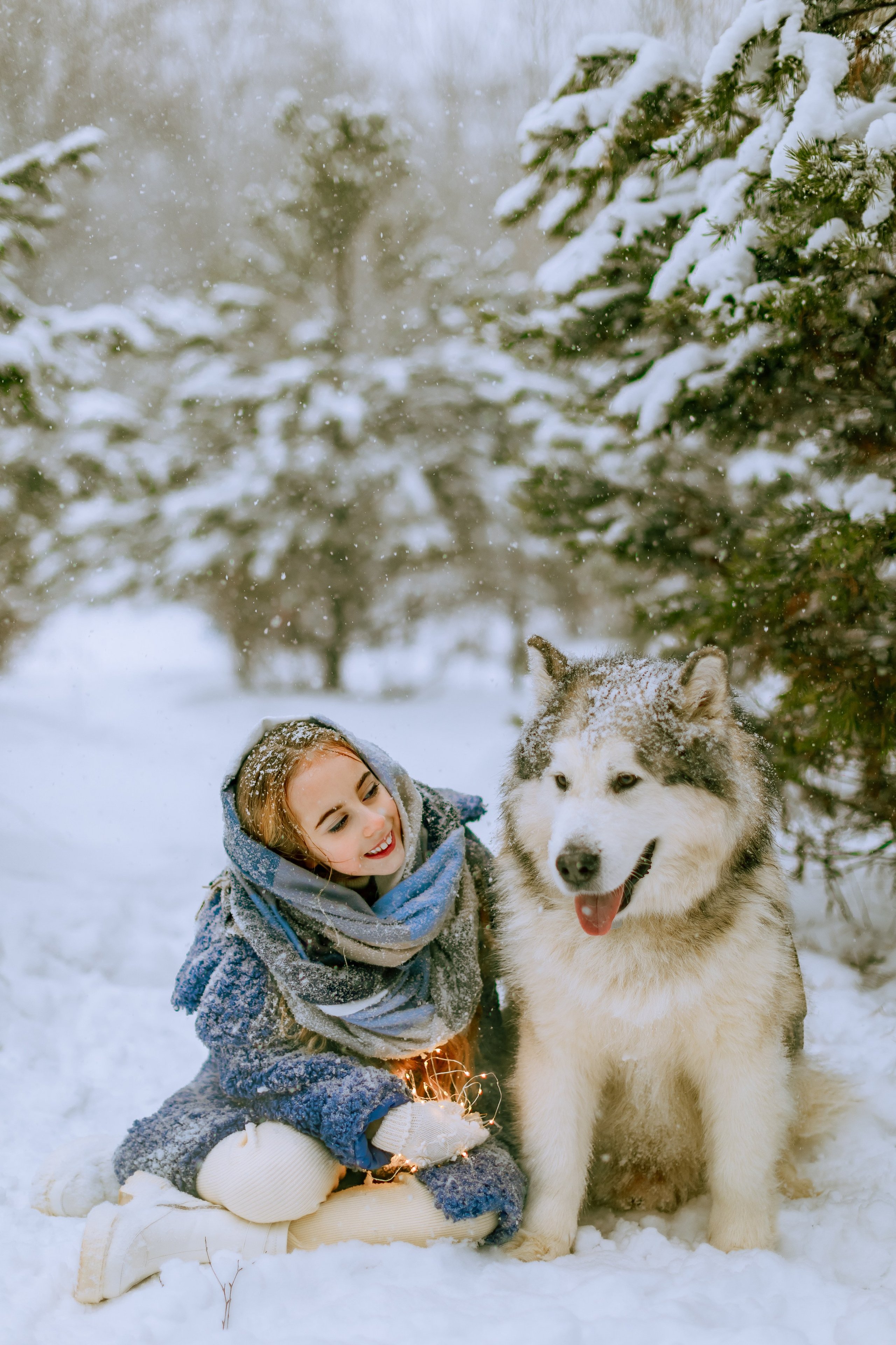 София и аляскинский маламут. Фото и видео Москва, Московский. Свадебный фотограф, видеограф, фотосессии, видеосъемка