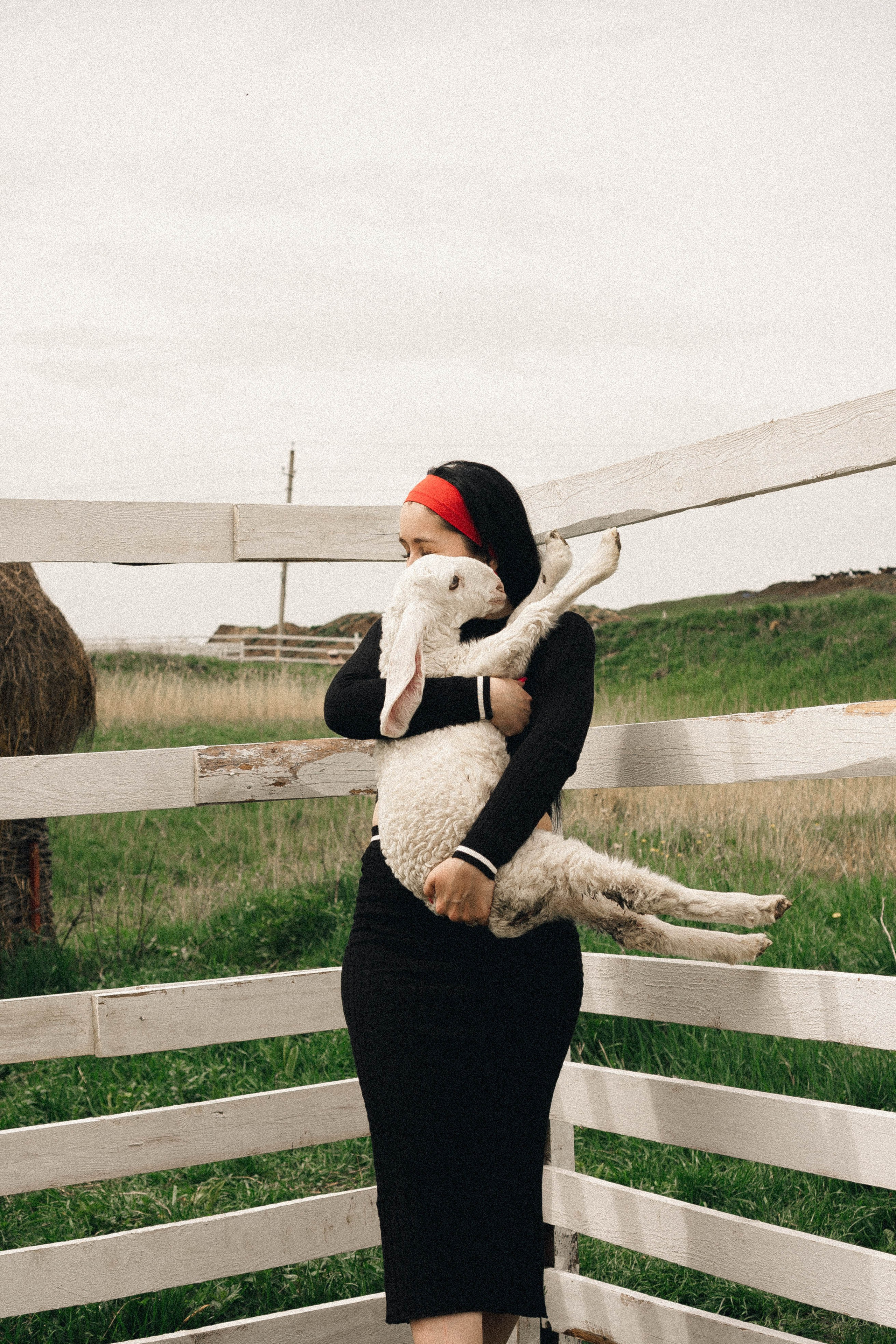 Ферма Альпак. Профессиональный фотограф, Санкт-Петербург — Виктория Богомолова