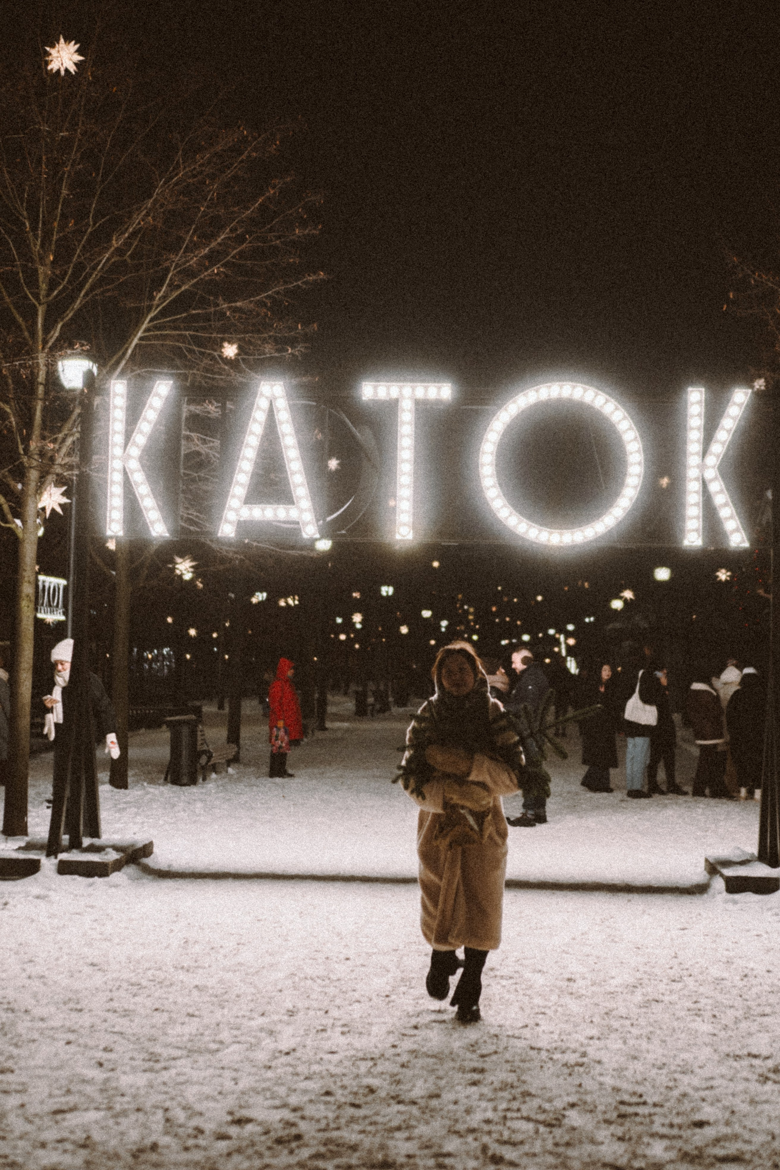 Зимняя сказка в Новой Голандии. Профессиональный фотограф, Санкт-Петербург — Виктория Богомолова