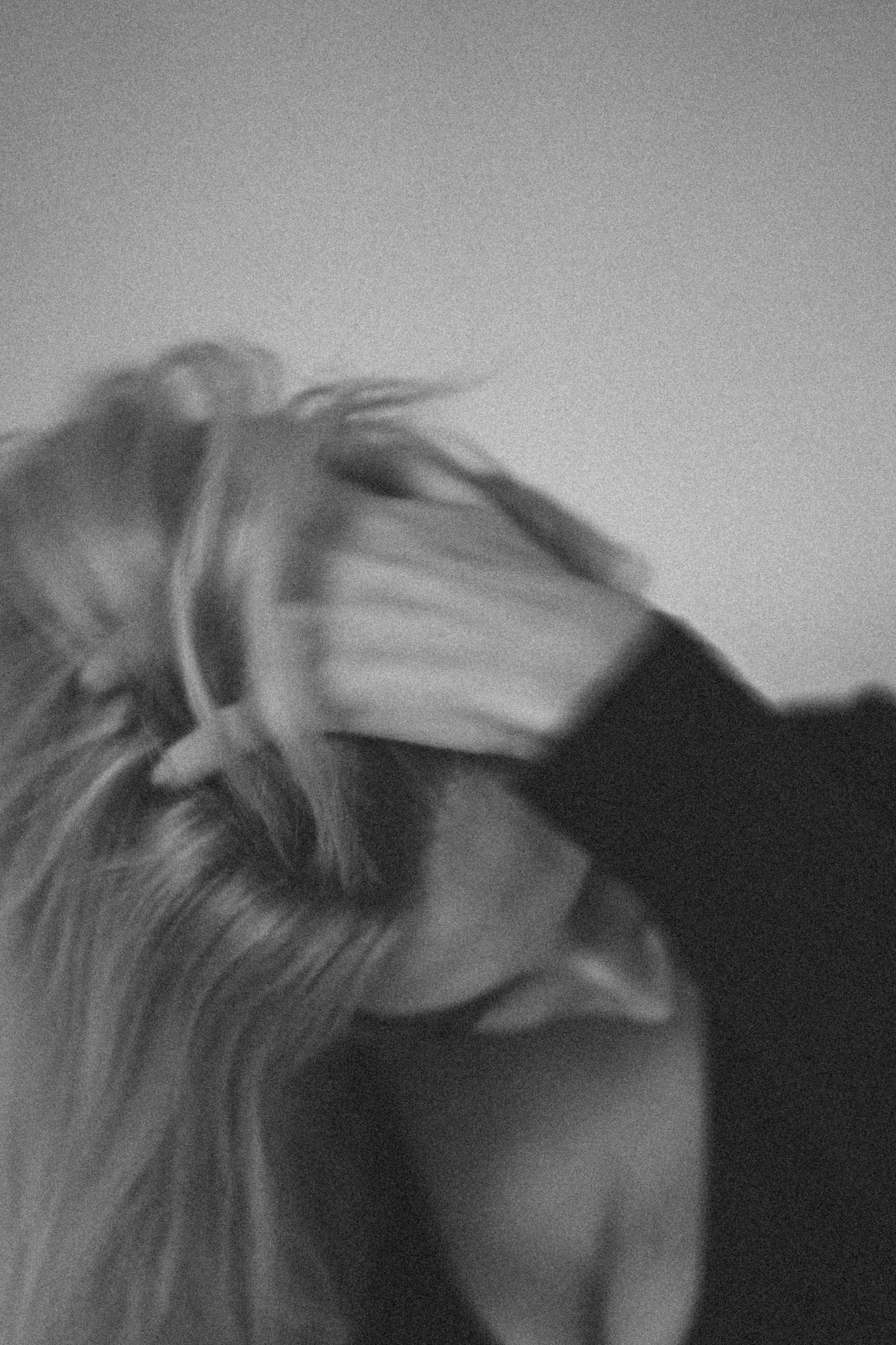 Винтажная серия. Профессиональный фотограф, Санкт-Петербург — Виктория Богомолова