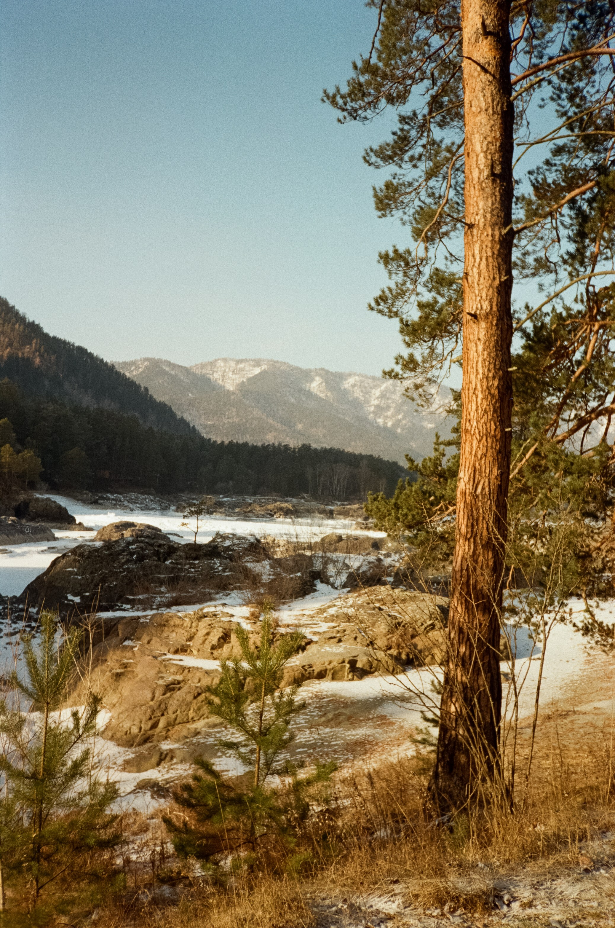 Дорога до Coffee Bus по Чемальскому тракту и Кедровый остров. Фотограф-документалист Мария Осокина