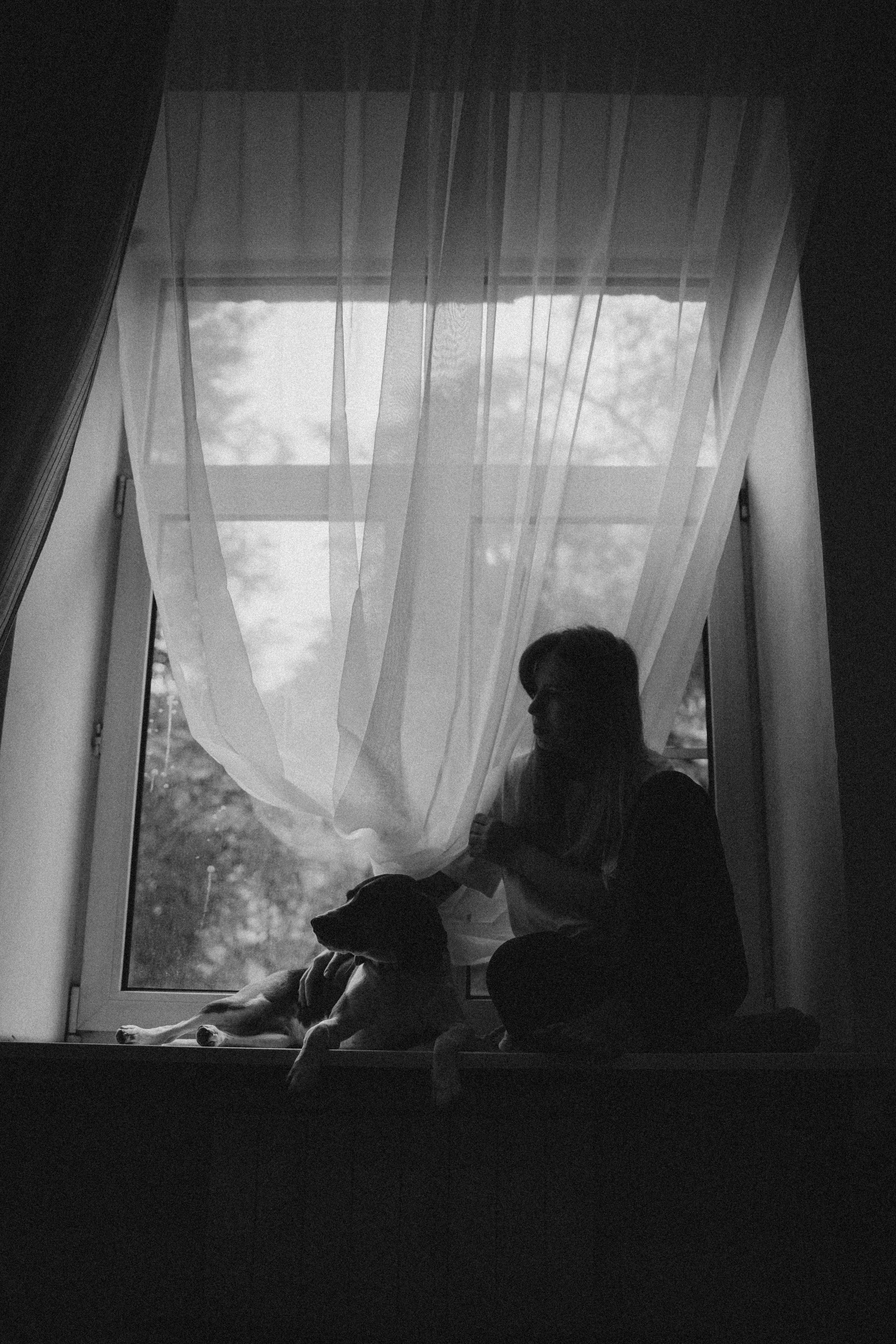 Света и Ива. Фотограф-анималист в Москве Лера Черноног