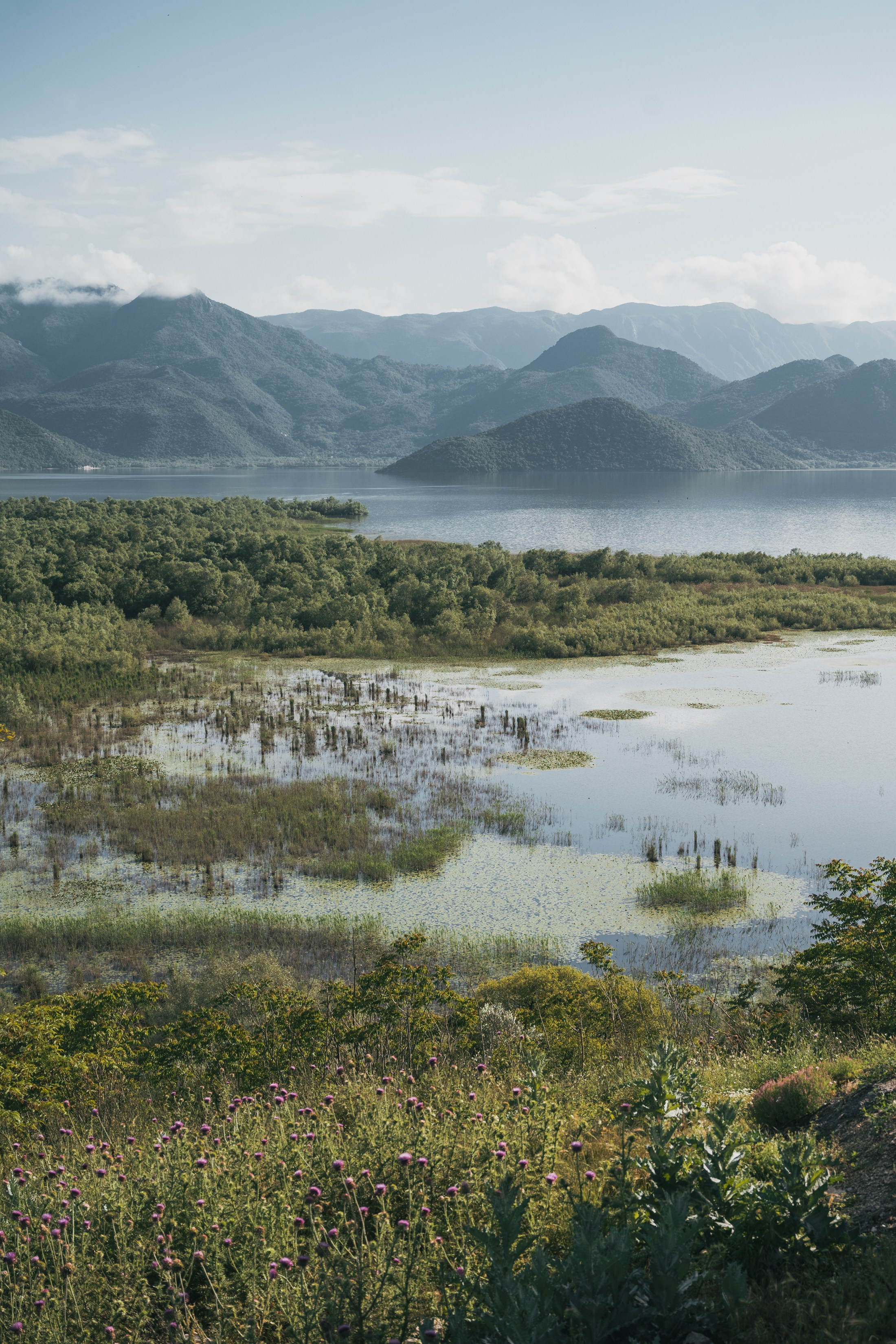 СКАДАРСКОЕ ОЗЕРО. ЧЕРНОГОРИЯ. Фотограф в Белграде Чугреева Елена