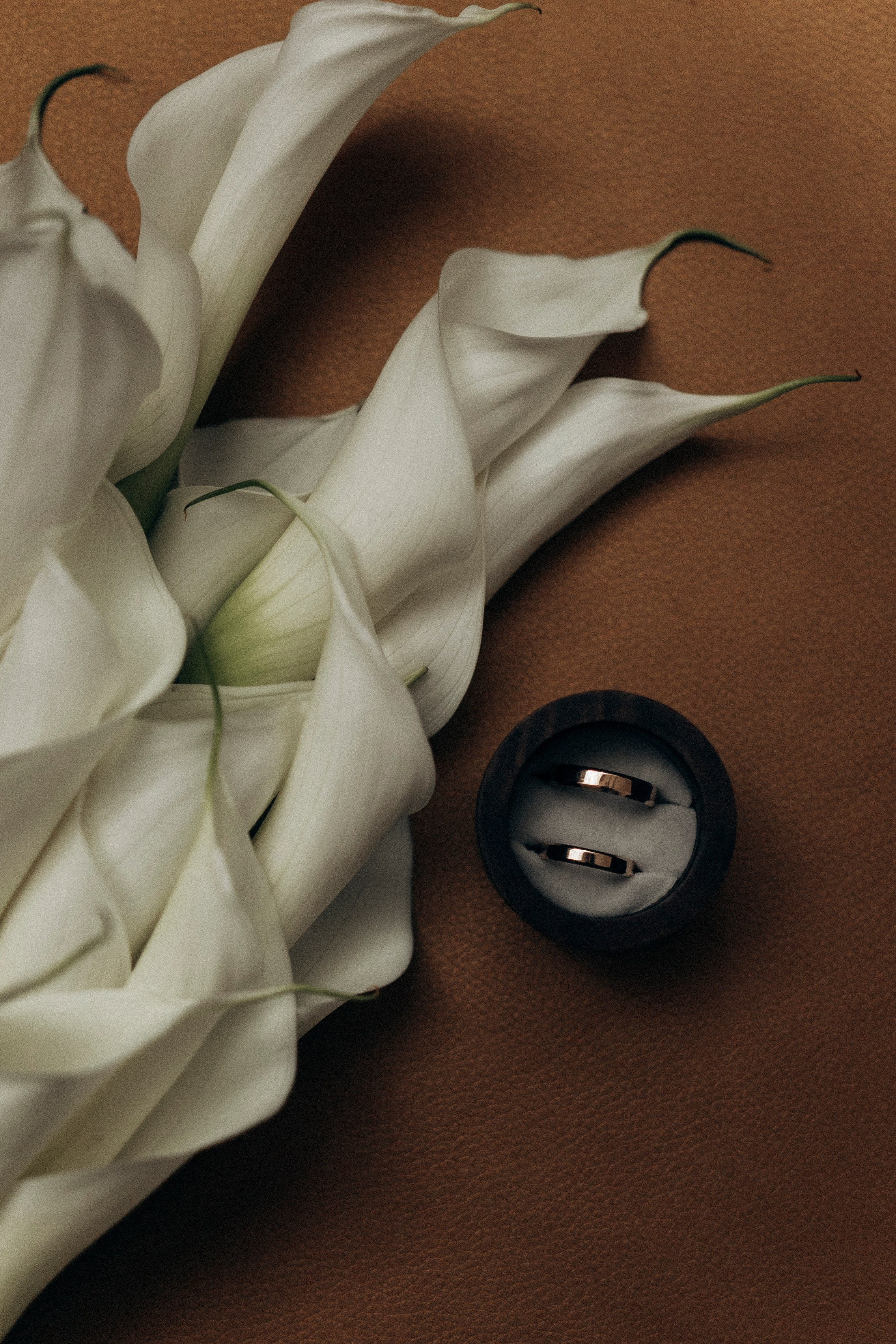 DIMA & LISA | KISLOVODSK. Фотограф Настя Конник | Пятигорск | Эльбрус | Домбай | Архыз