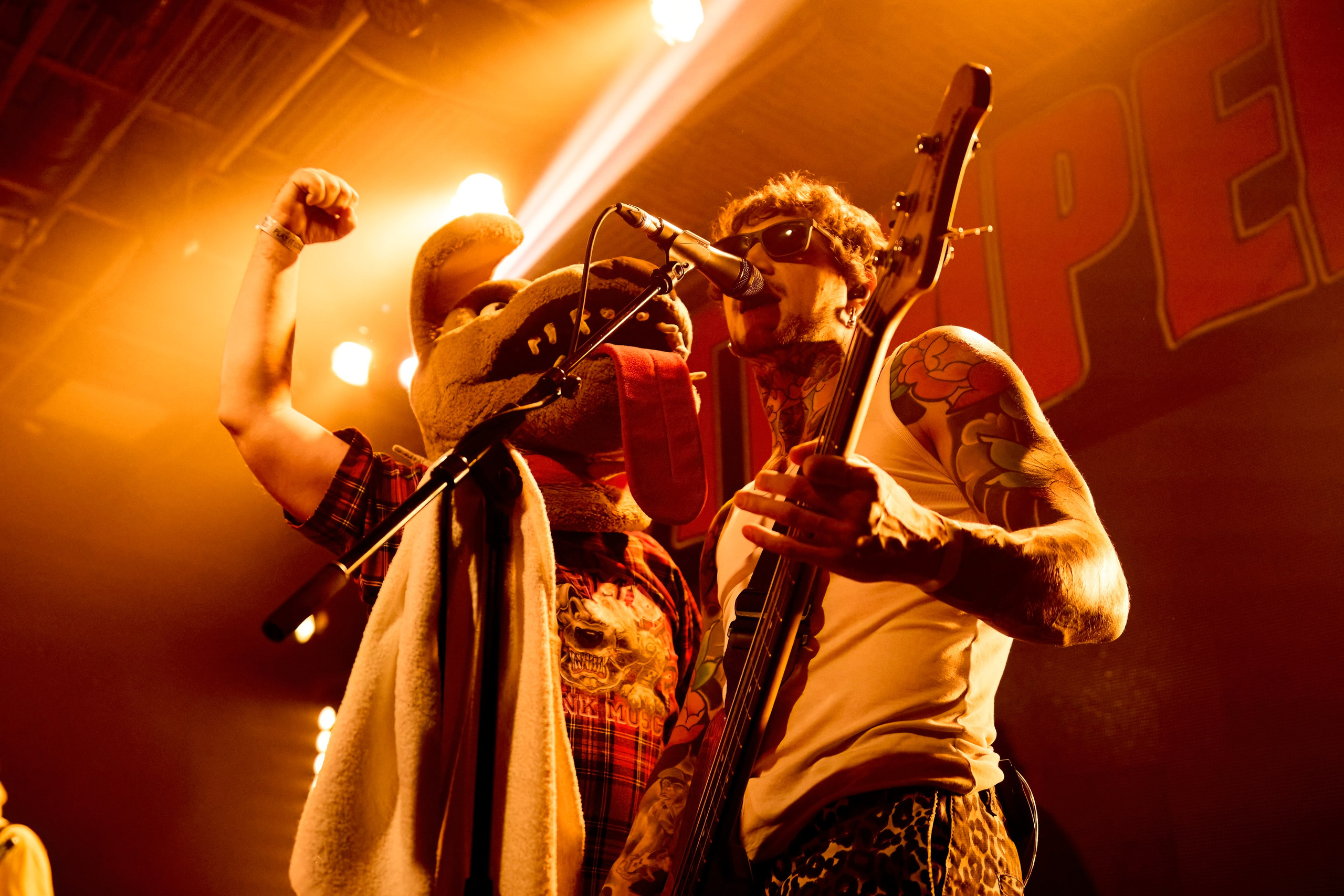 DISTEMPER / AGLOMERAT / 24.11.2023. Ekhovanov | фото- видеосъемка