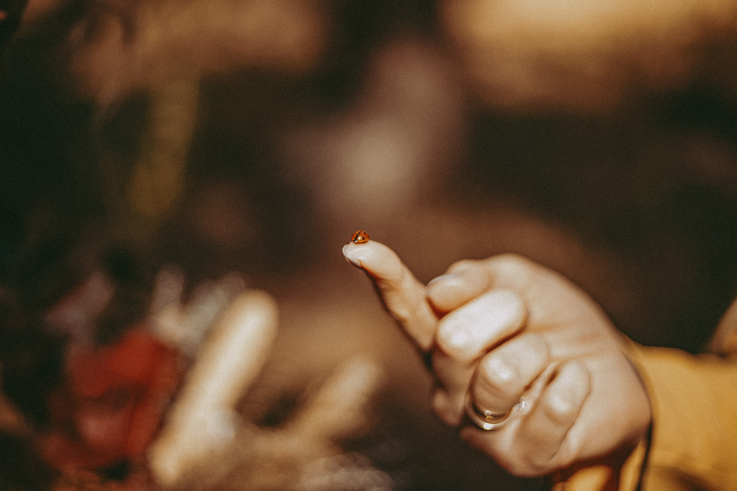 Алла и Артём. Фотограф в городе Самара Александр Гераськин