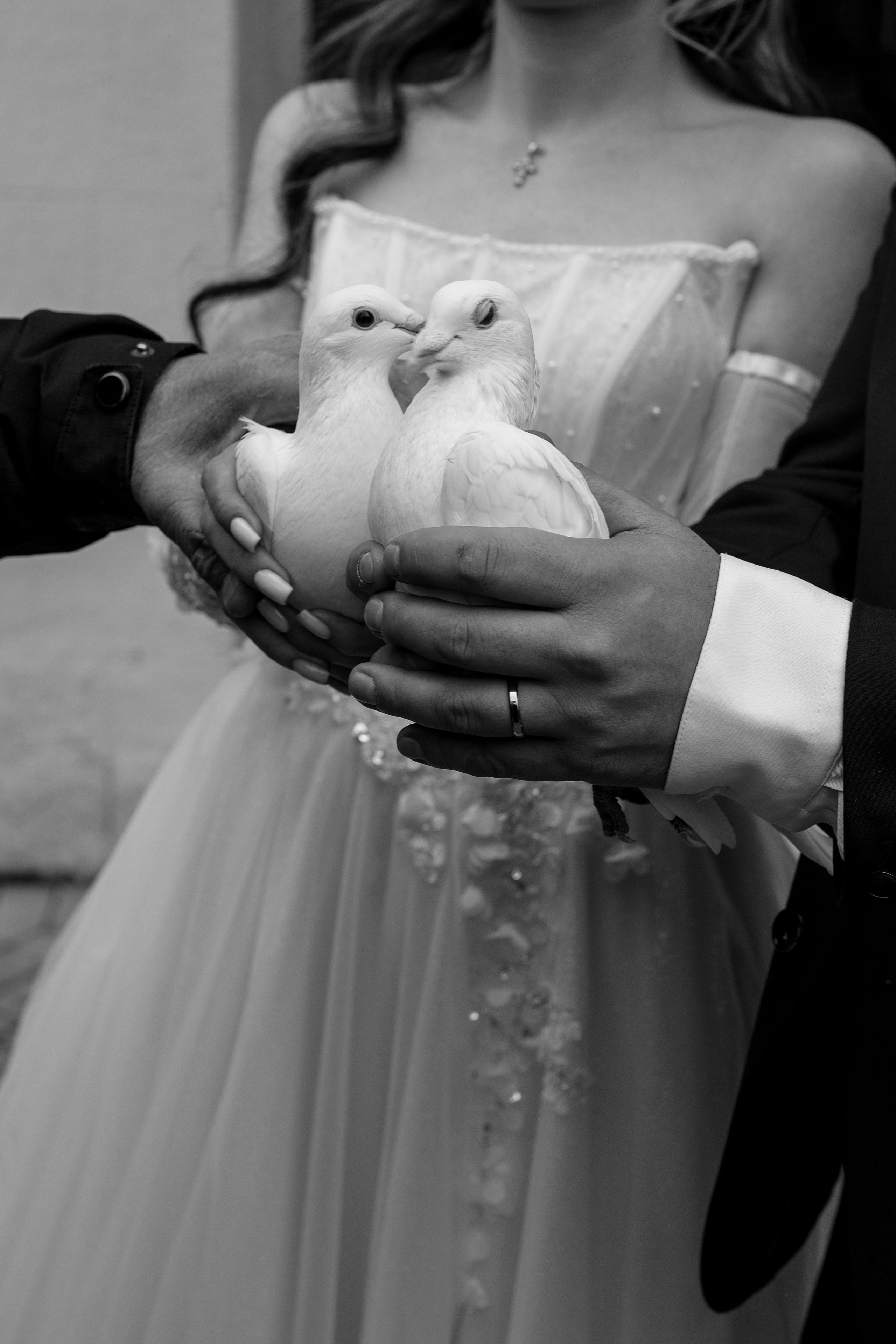 Артём Мэри Свадьба. Գլխավոր