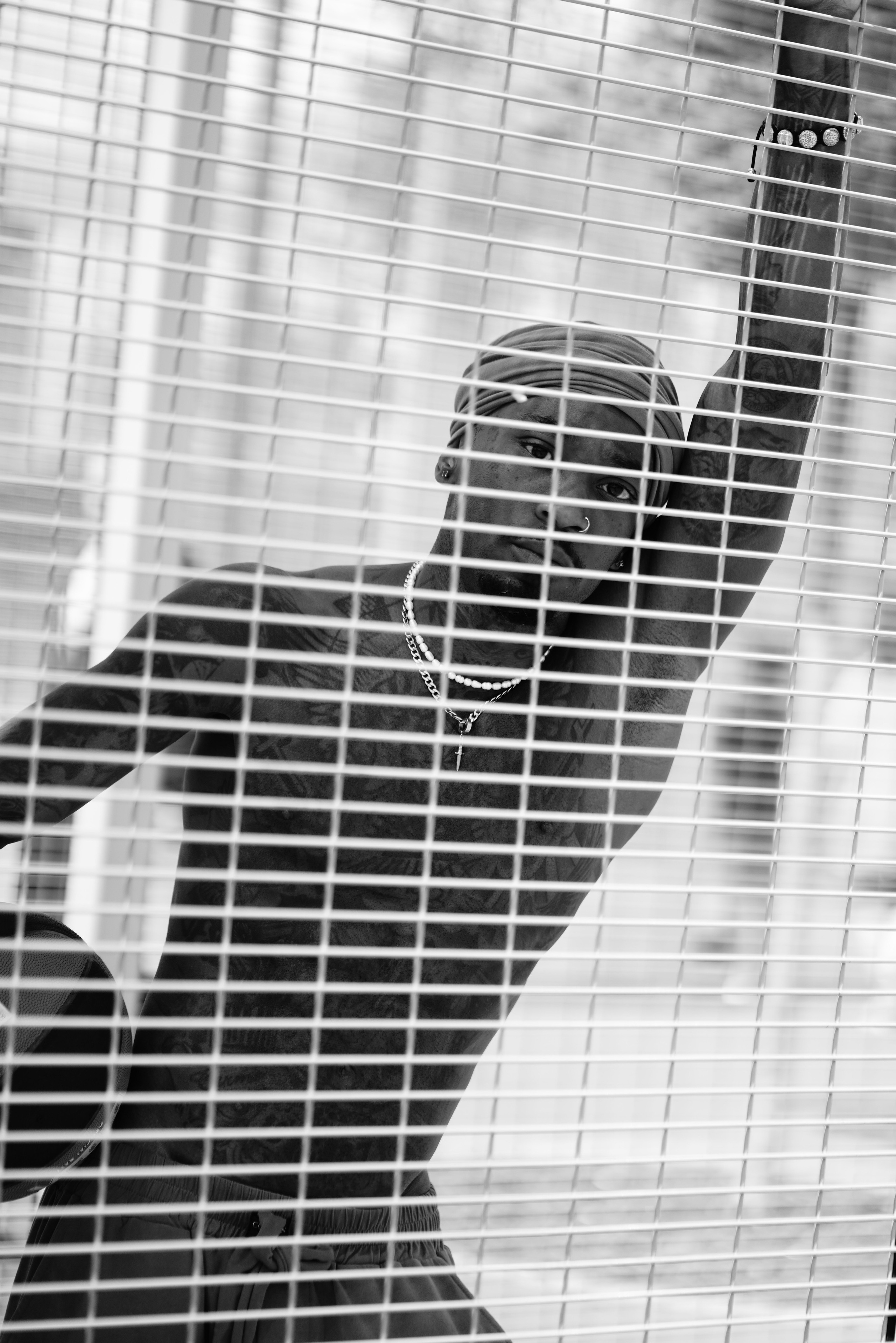 MR GRINGO. Главная