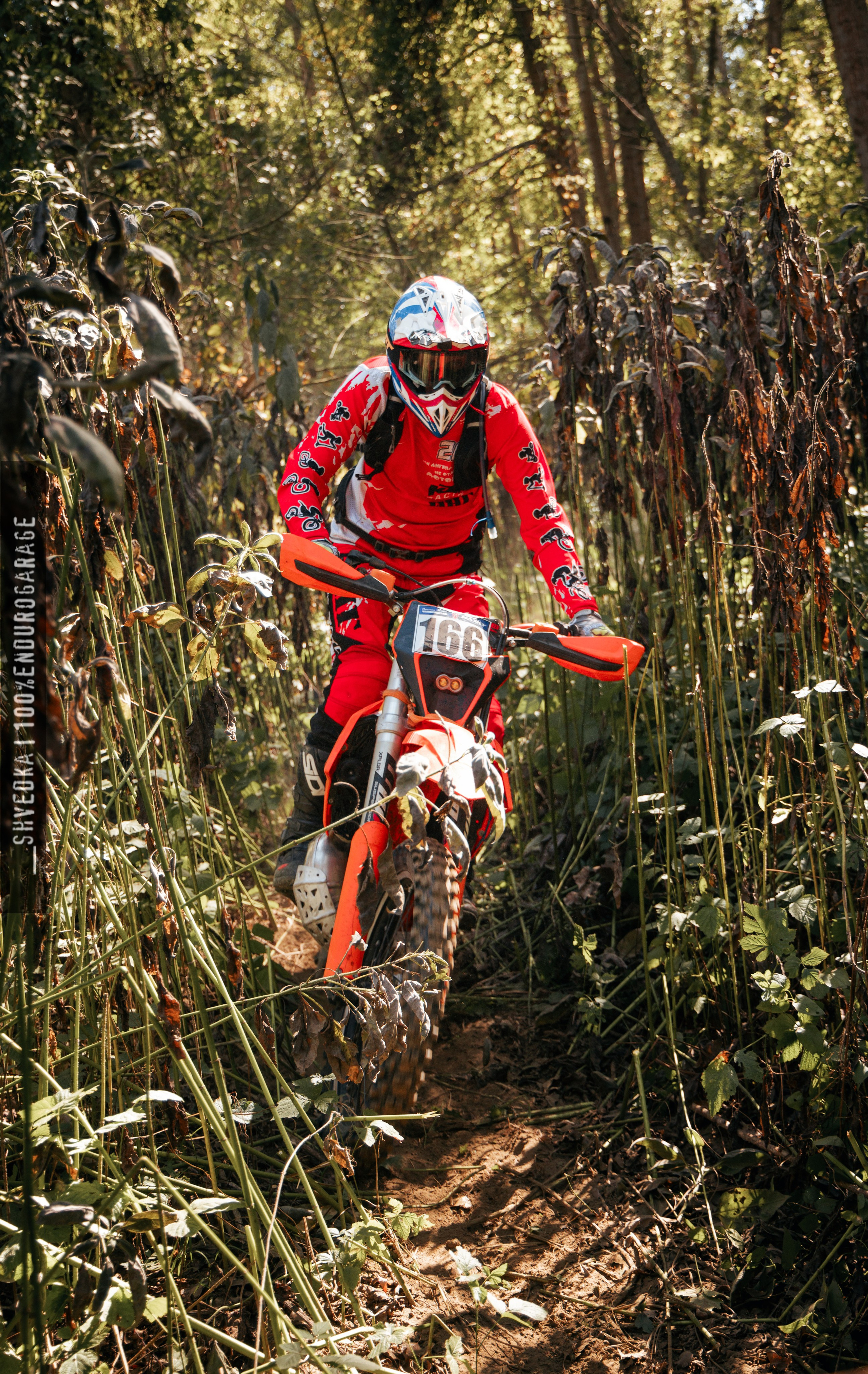 1 лесной день. Ваш экстрим фотограф Кудрева Яна