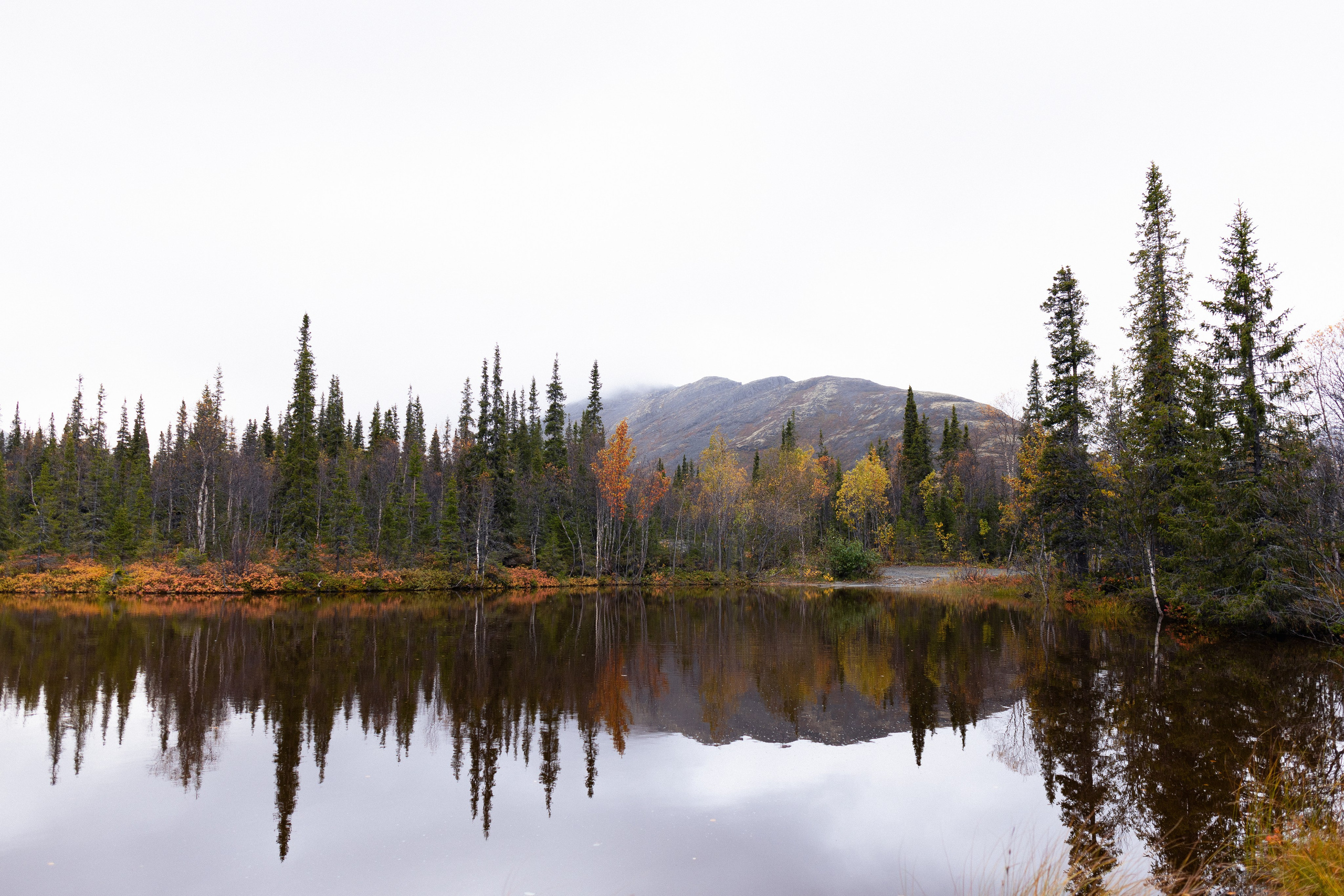 Кольский. Фотограф и видеограф анималист Аганина Дарья