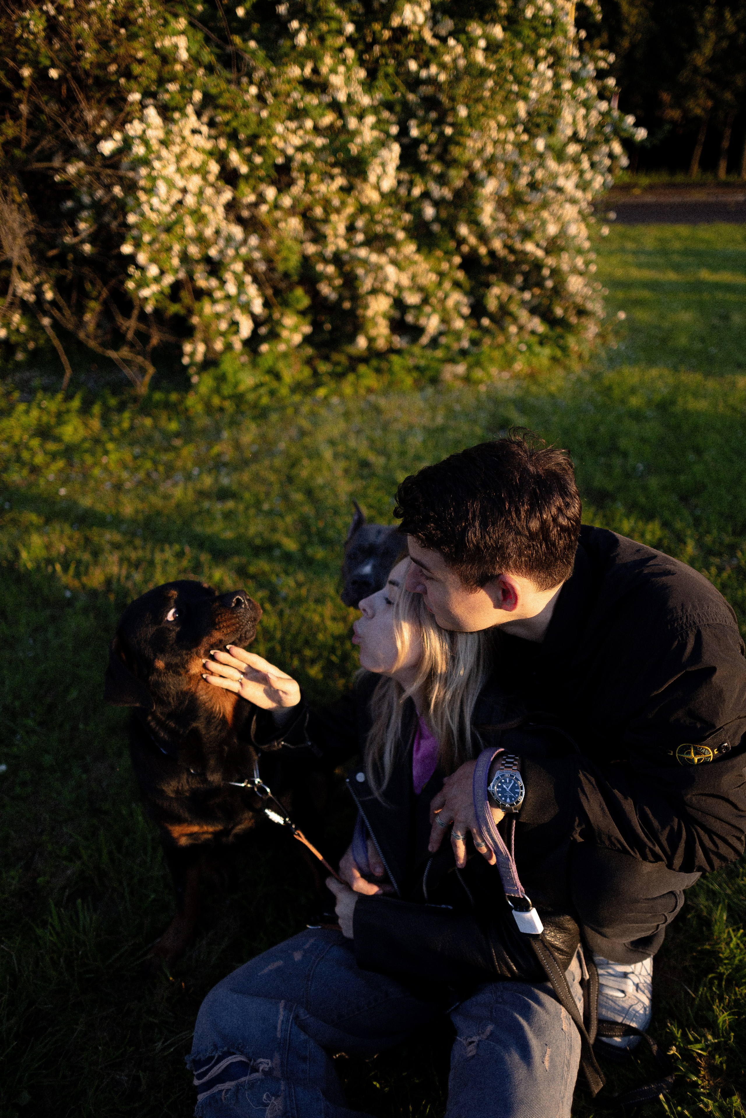 Катя, Леша, Лея и Трой. Фотограф и видеограф анималист Аганина Дарья