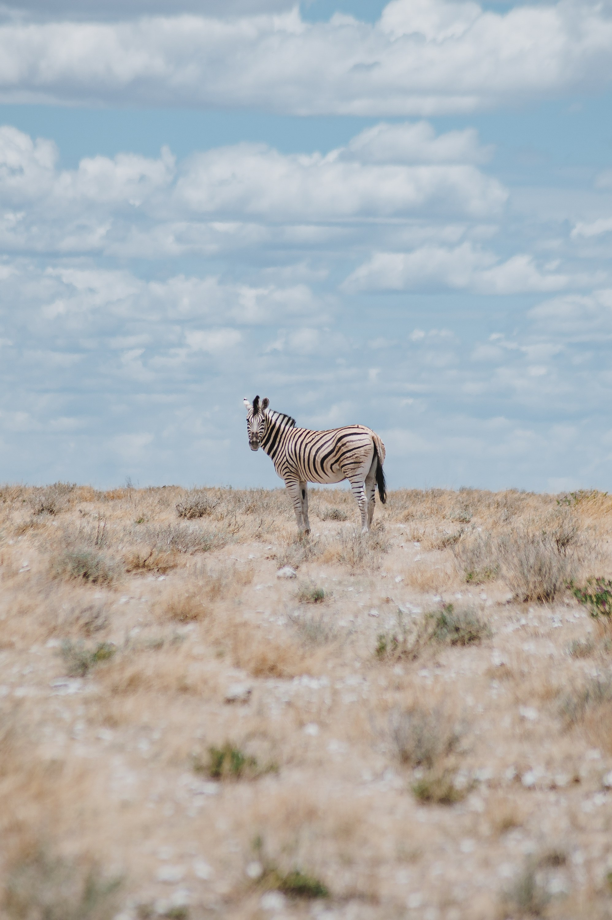 НАМИБИЯ. Роадтрип