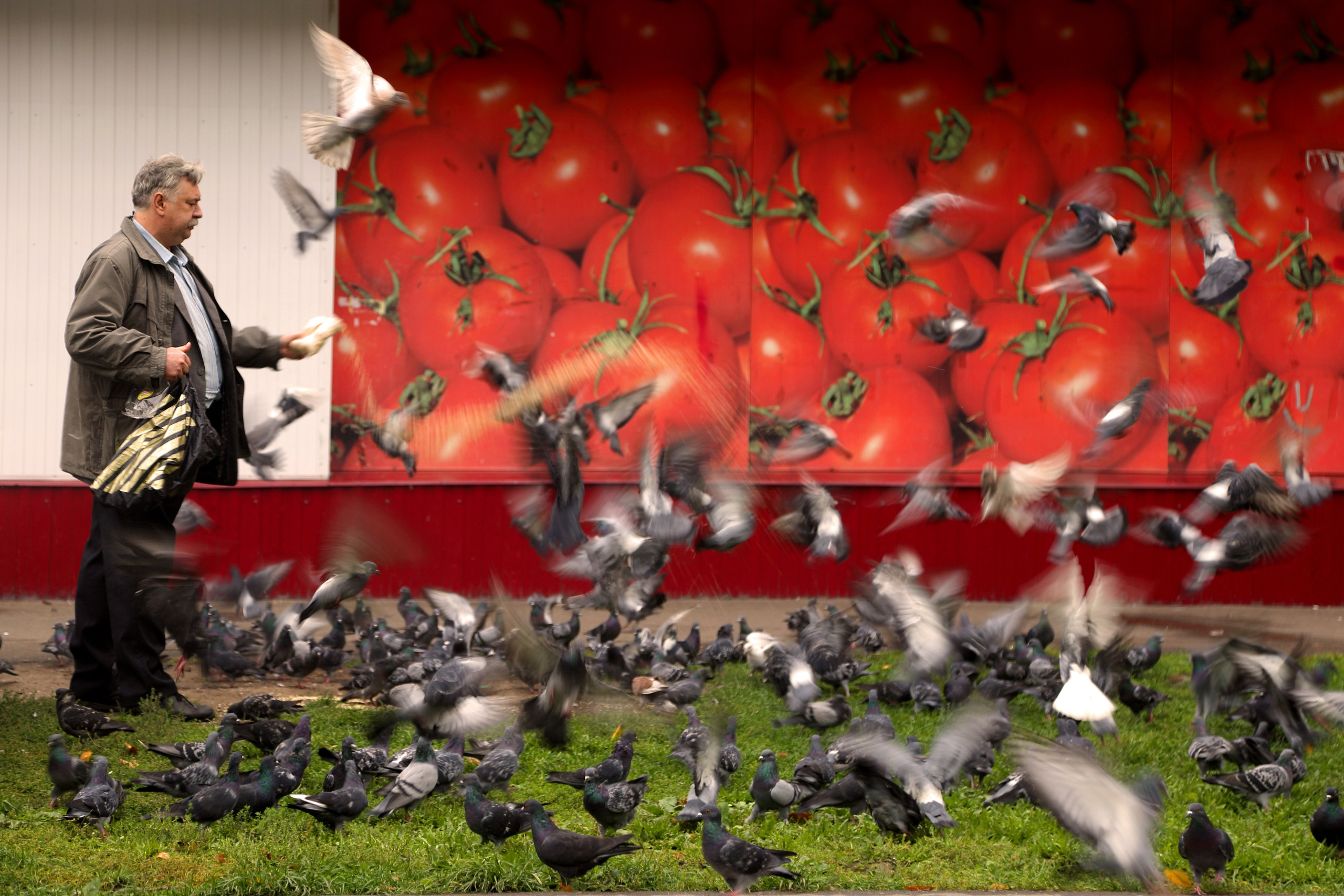 Жанр. Фотограф Лагутин Анатолий