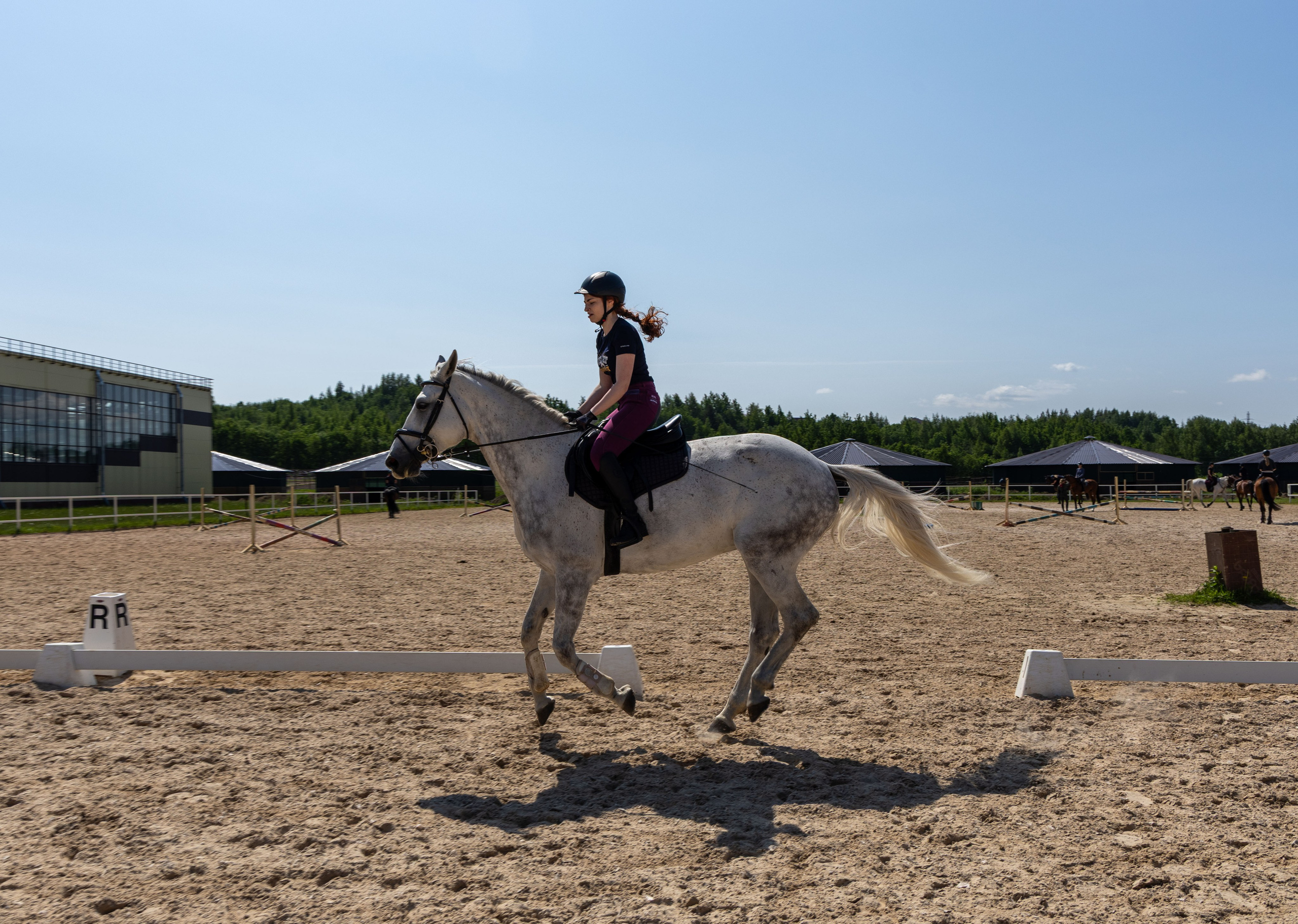 Репортаж.Конная тренировка. Портретный и семейный фотограф Санкт-Петербург
